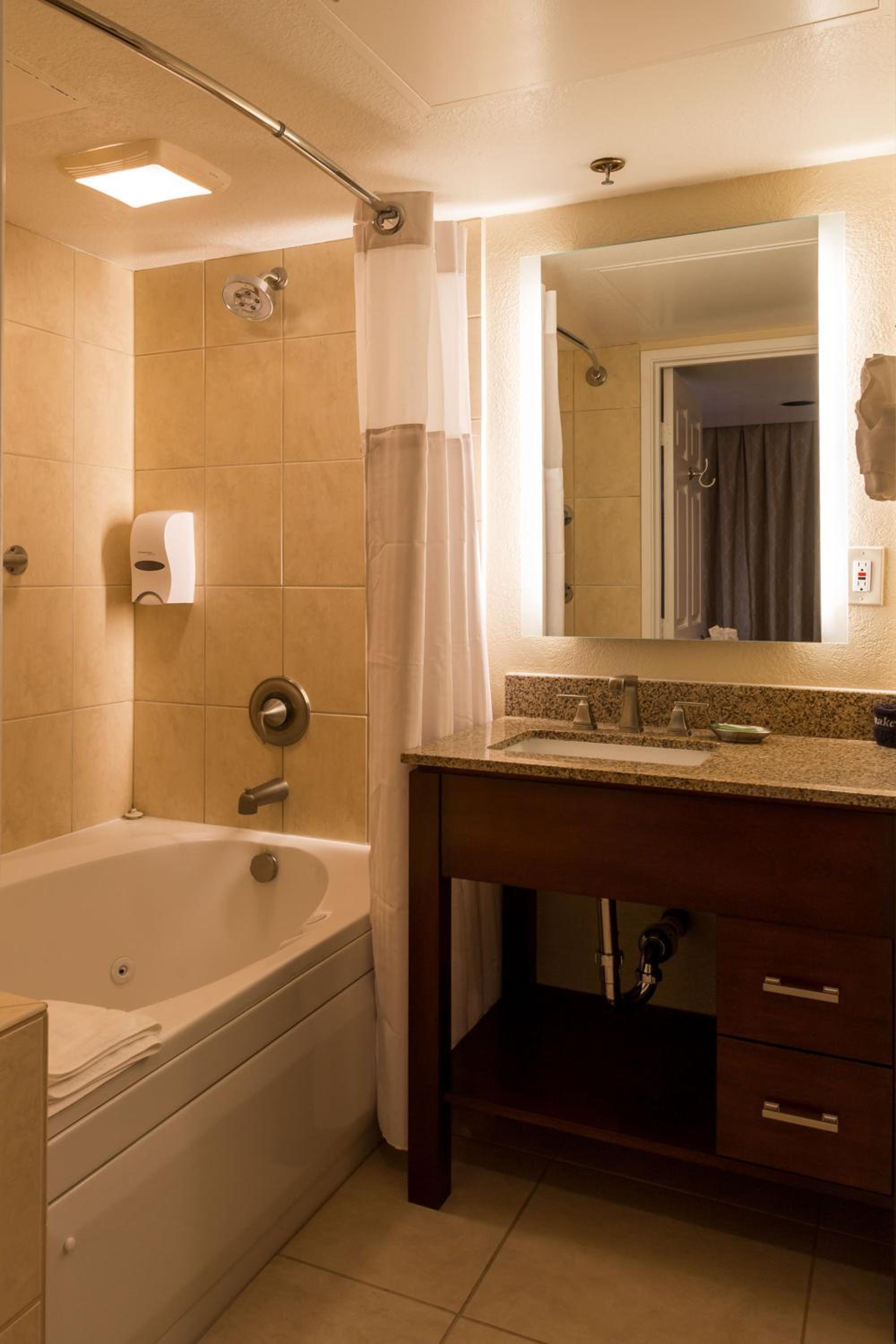 One-Bedroom Suite - Photo 8