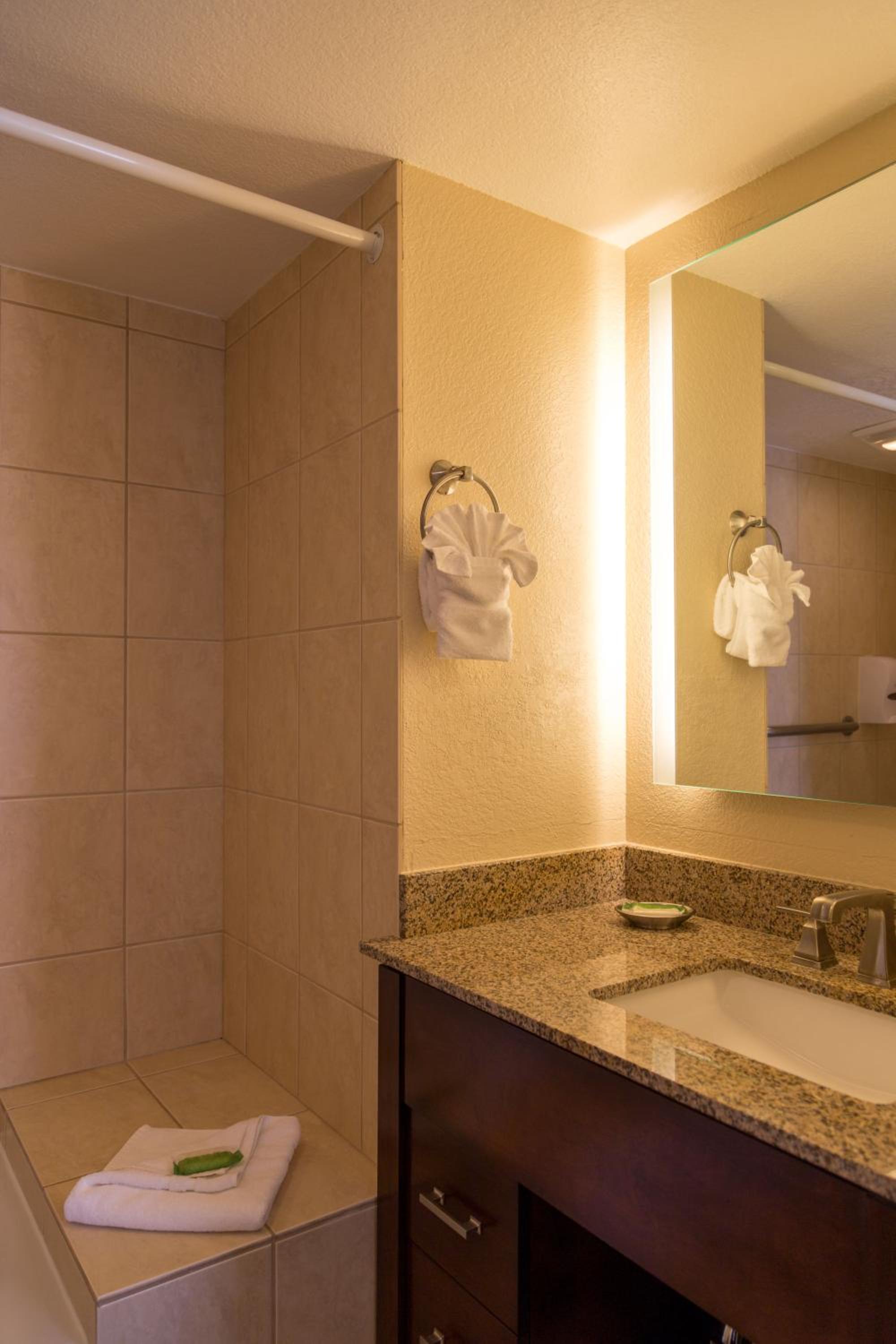 Two-Bedroom Suite - Photo 10
