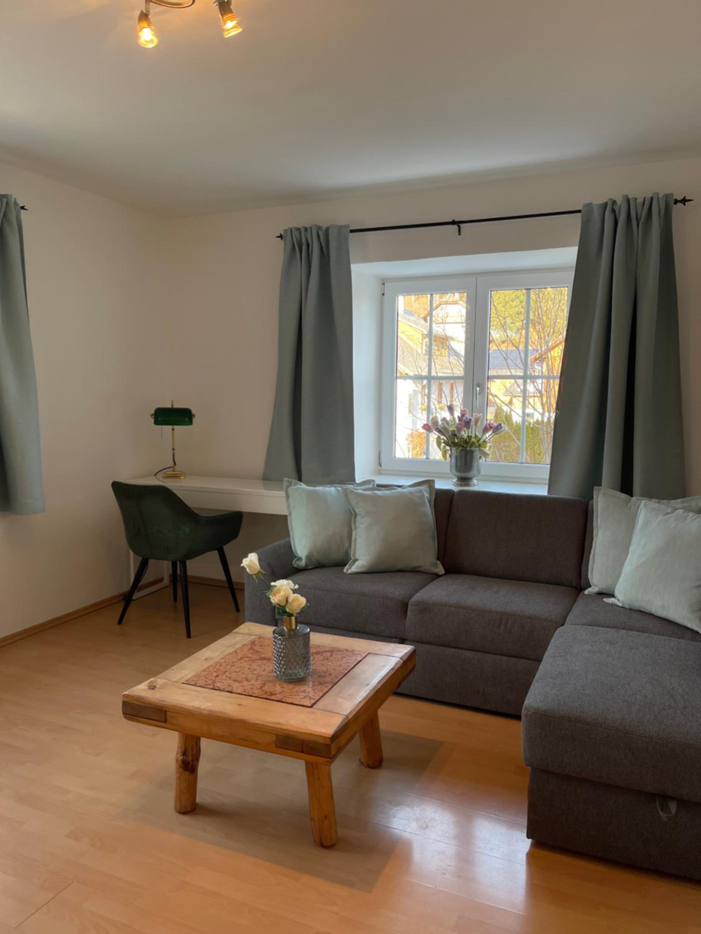 One-Bedroom Apartment with River View