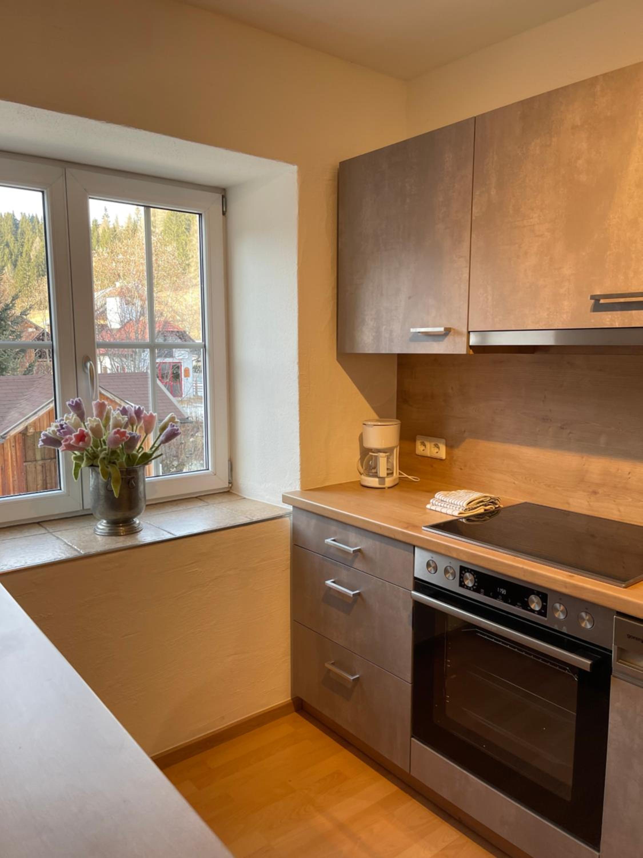 One-Bedroom Apartment with River View