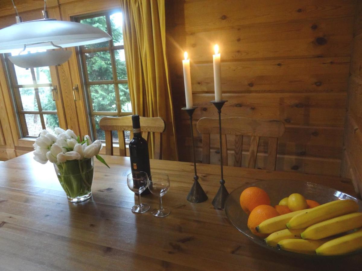 Chalet with fireplace photo 1