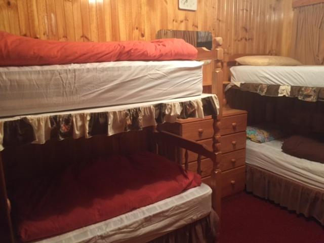Standard Quadruple Room with Bunks photo 1