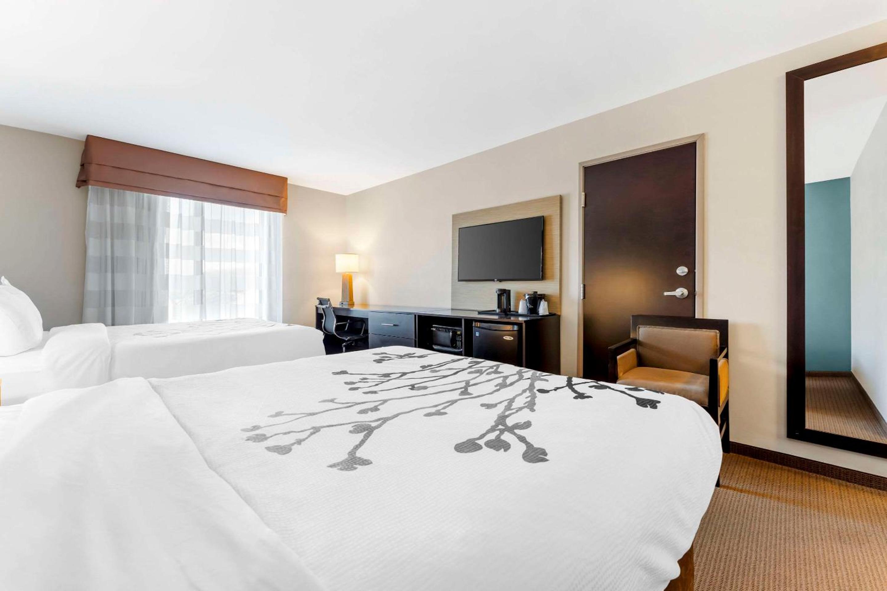Queen Room with Two Queen Beds - Non-Smoking photo 3
