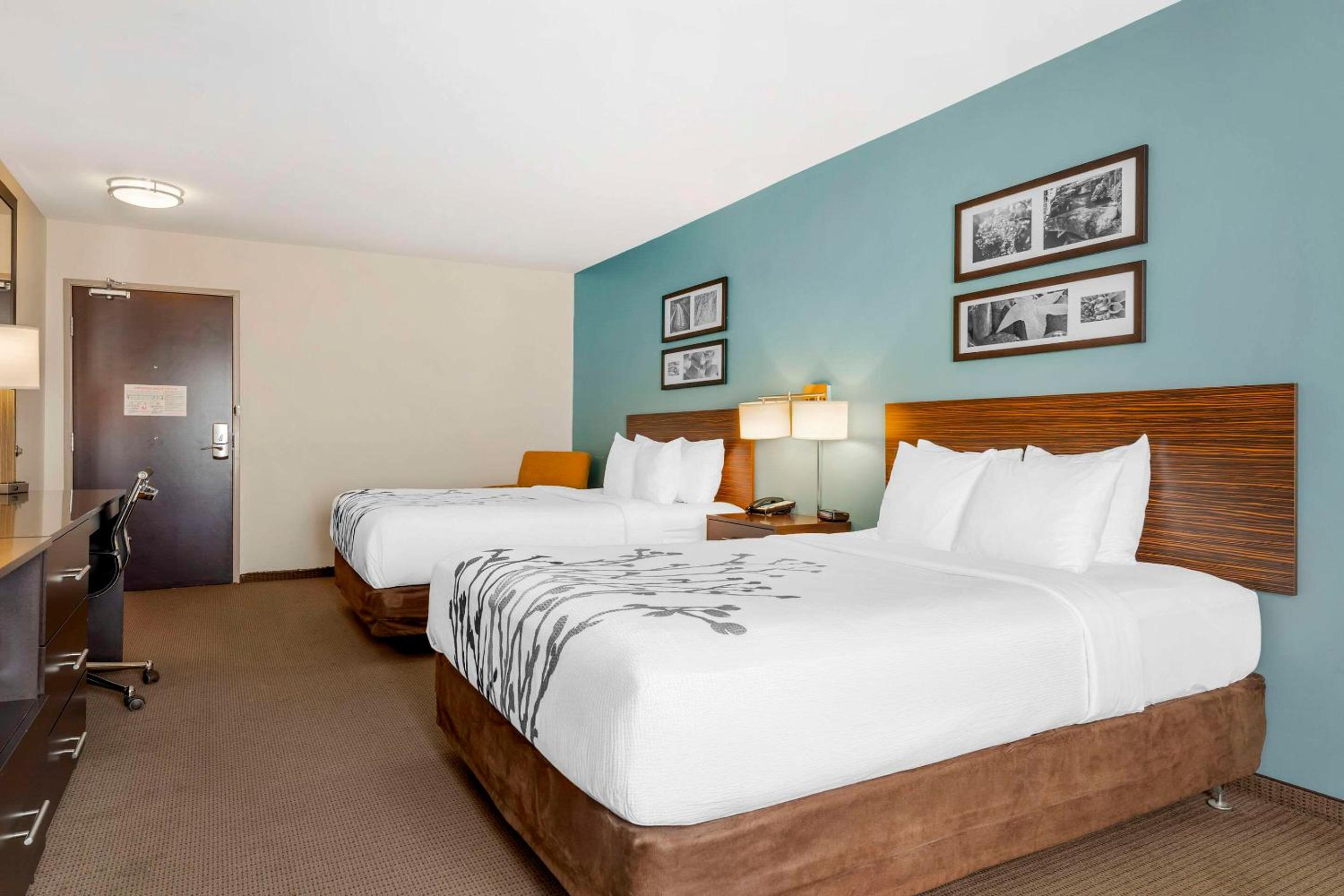 Queen Room with Two Queen Beds - Disability Access photo 1