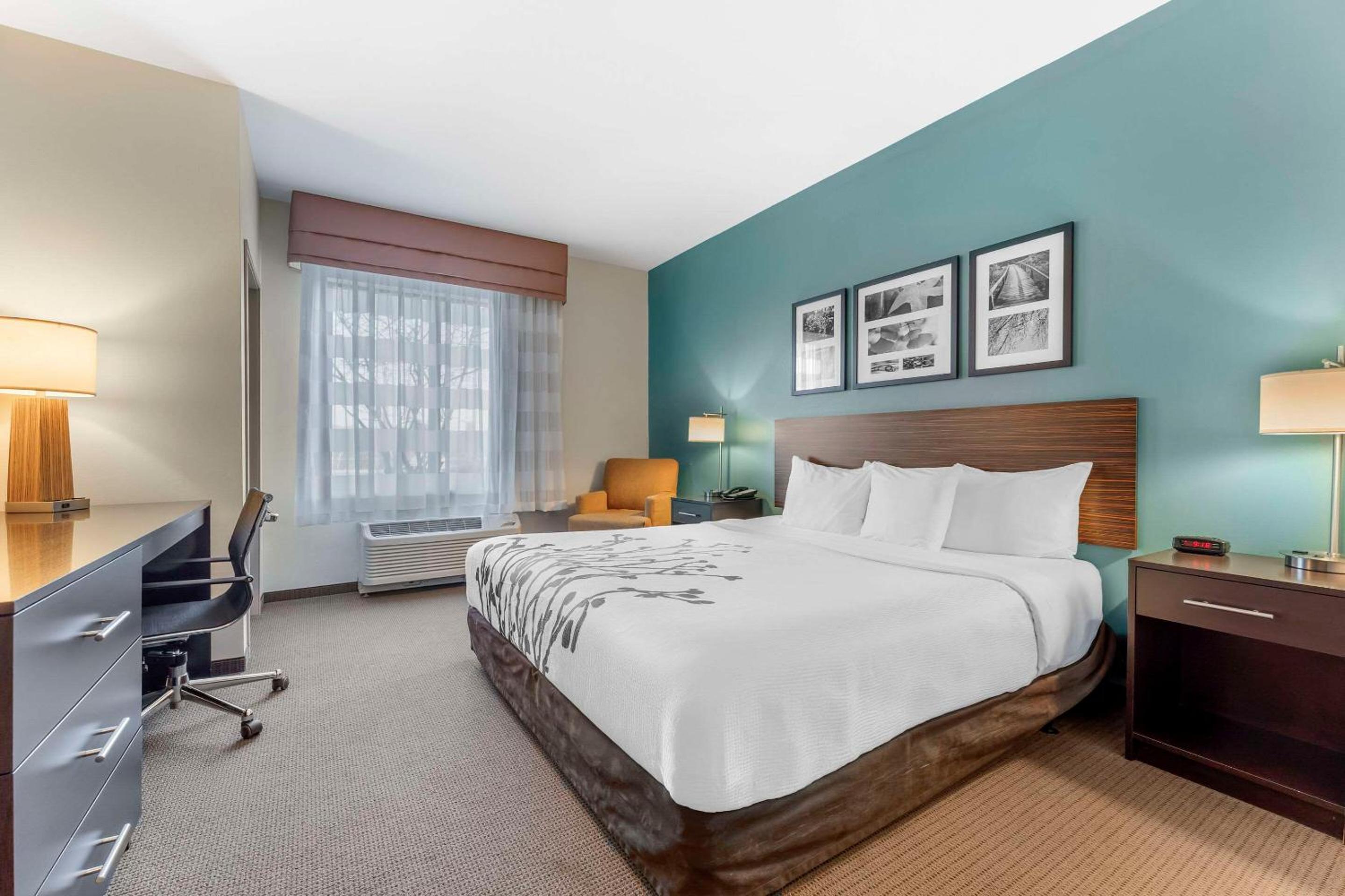 King Room with Roll-In Shower - Accessible/Non-Smoking photo 1