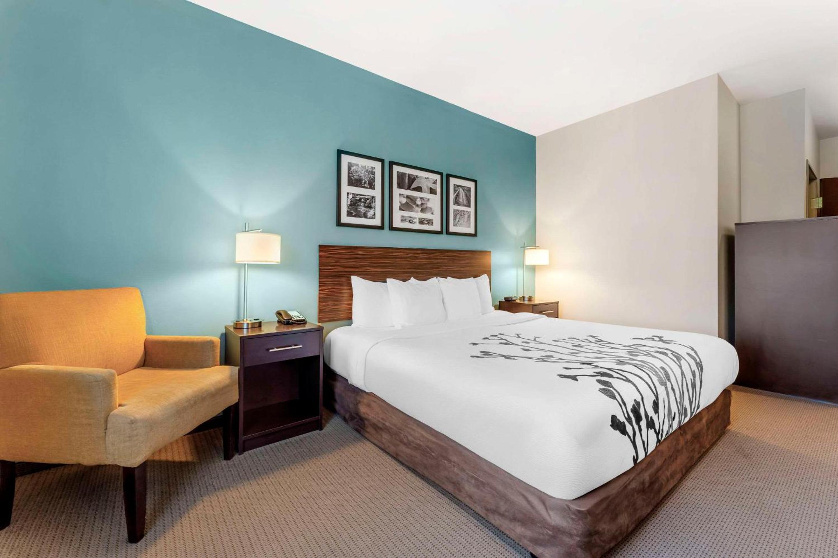 King Room with Roll-In Shower - Accessible/Non-Smoking photo 2