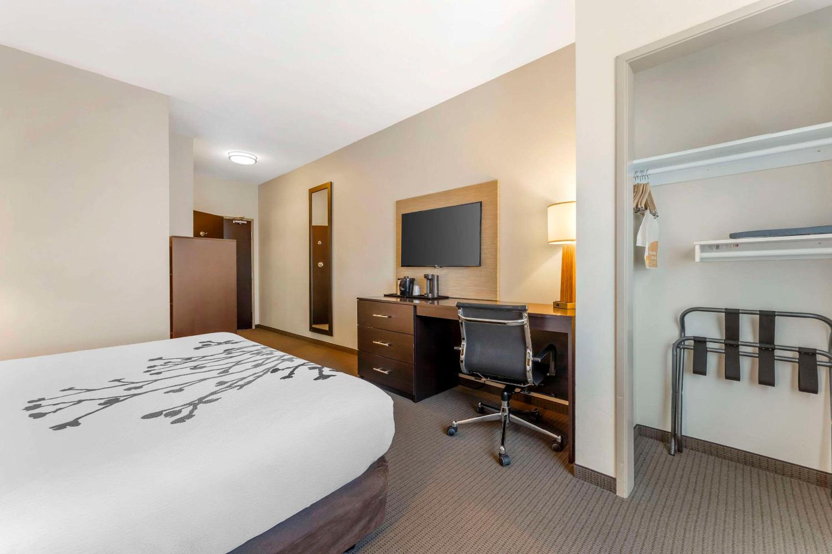 King Room with Roll-In Shower - Accessible/Non-Smoking photo 3