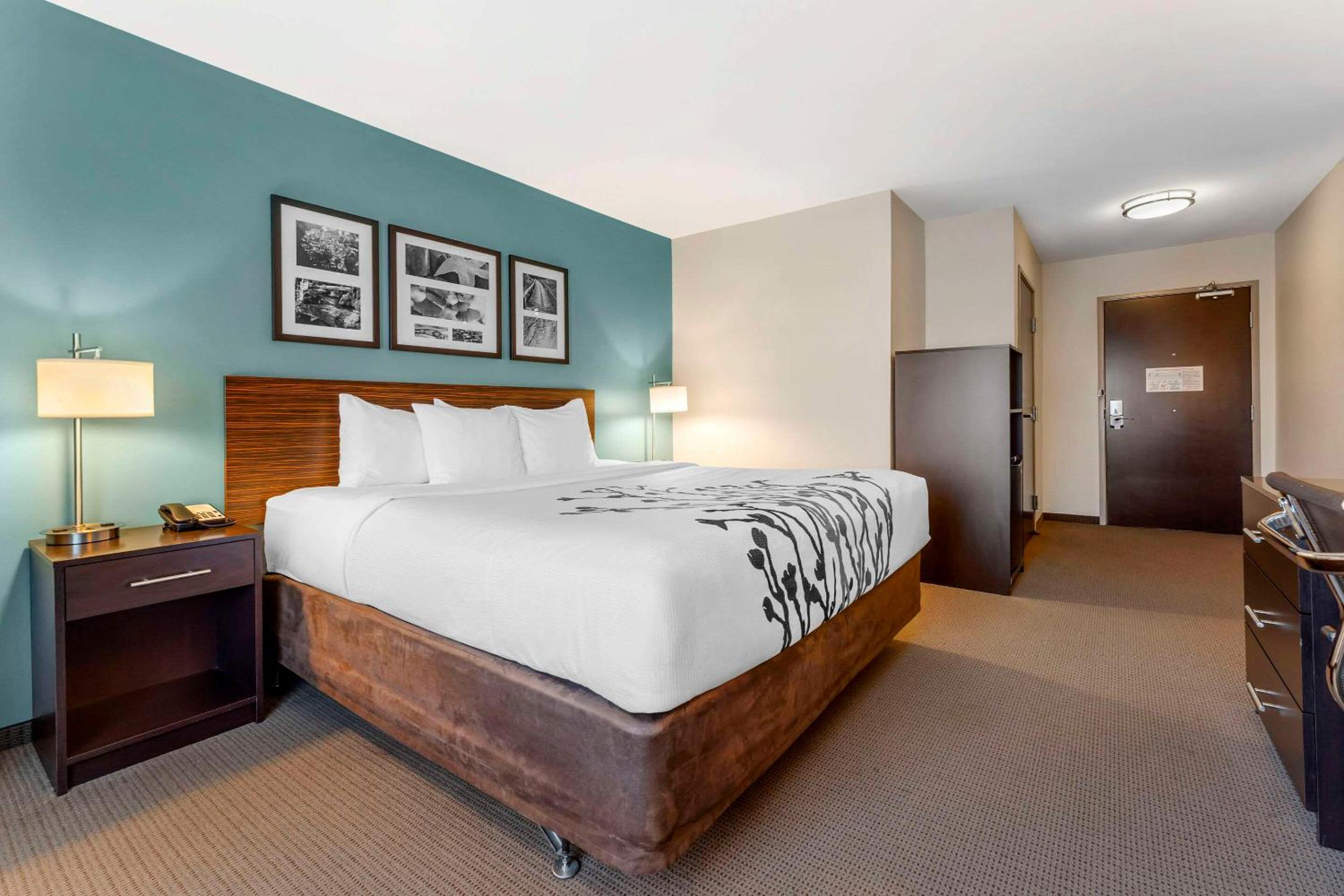 King Room with Hearing Accessible - Accessible/Non-Smoking photo 1