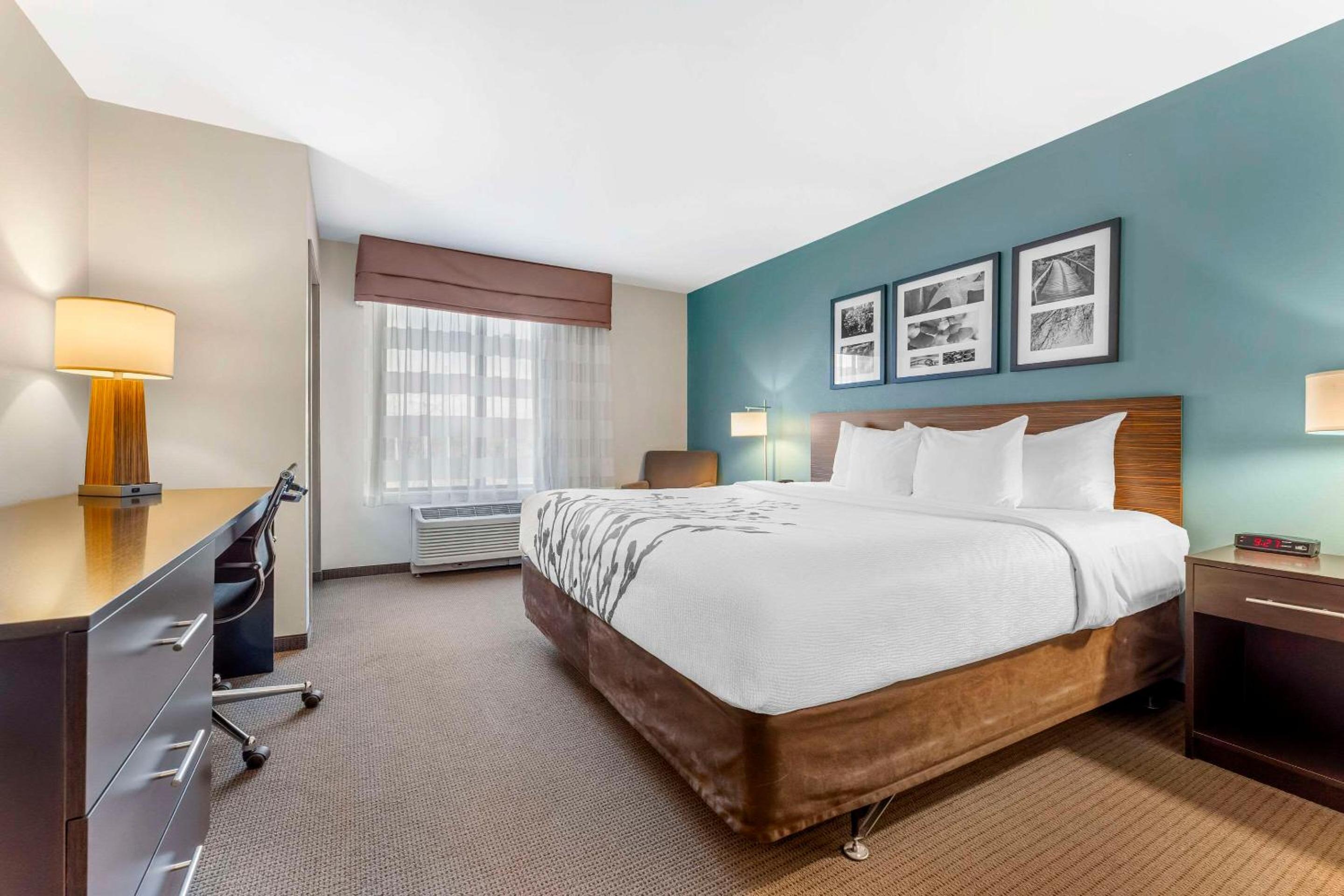 King Room with Roll-In Shower - Accessible/Non-Smoking photo 2