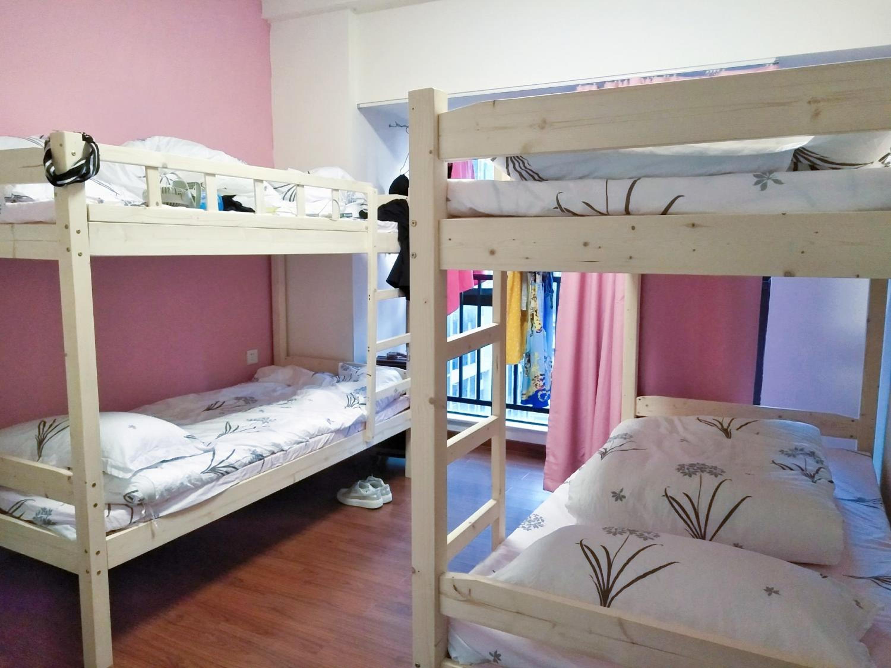 Bunk Bed in Mixed Dormitory Room photo 2