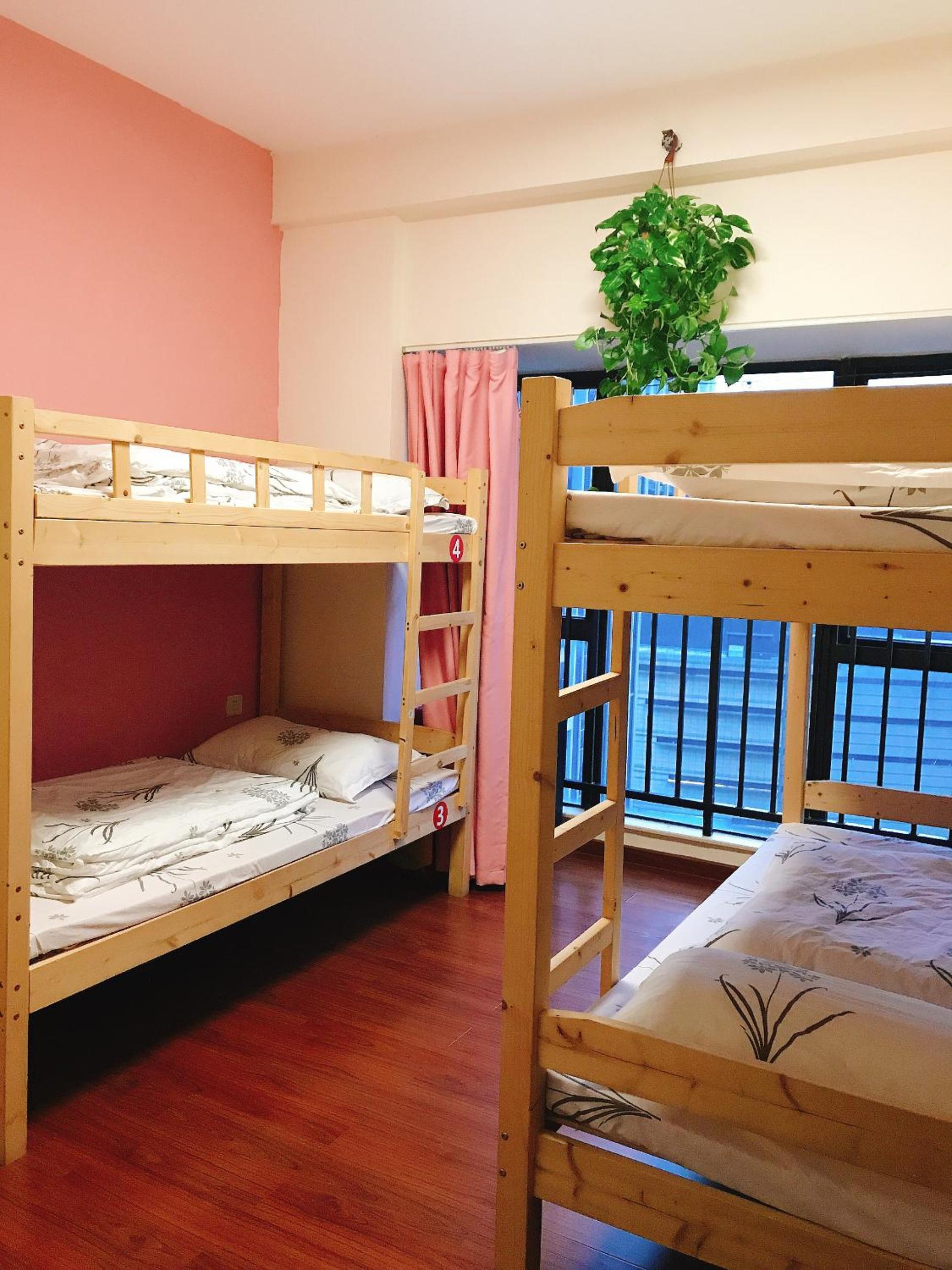 Bunk Bed in Mixed Dormitory Room photo 3