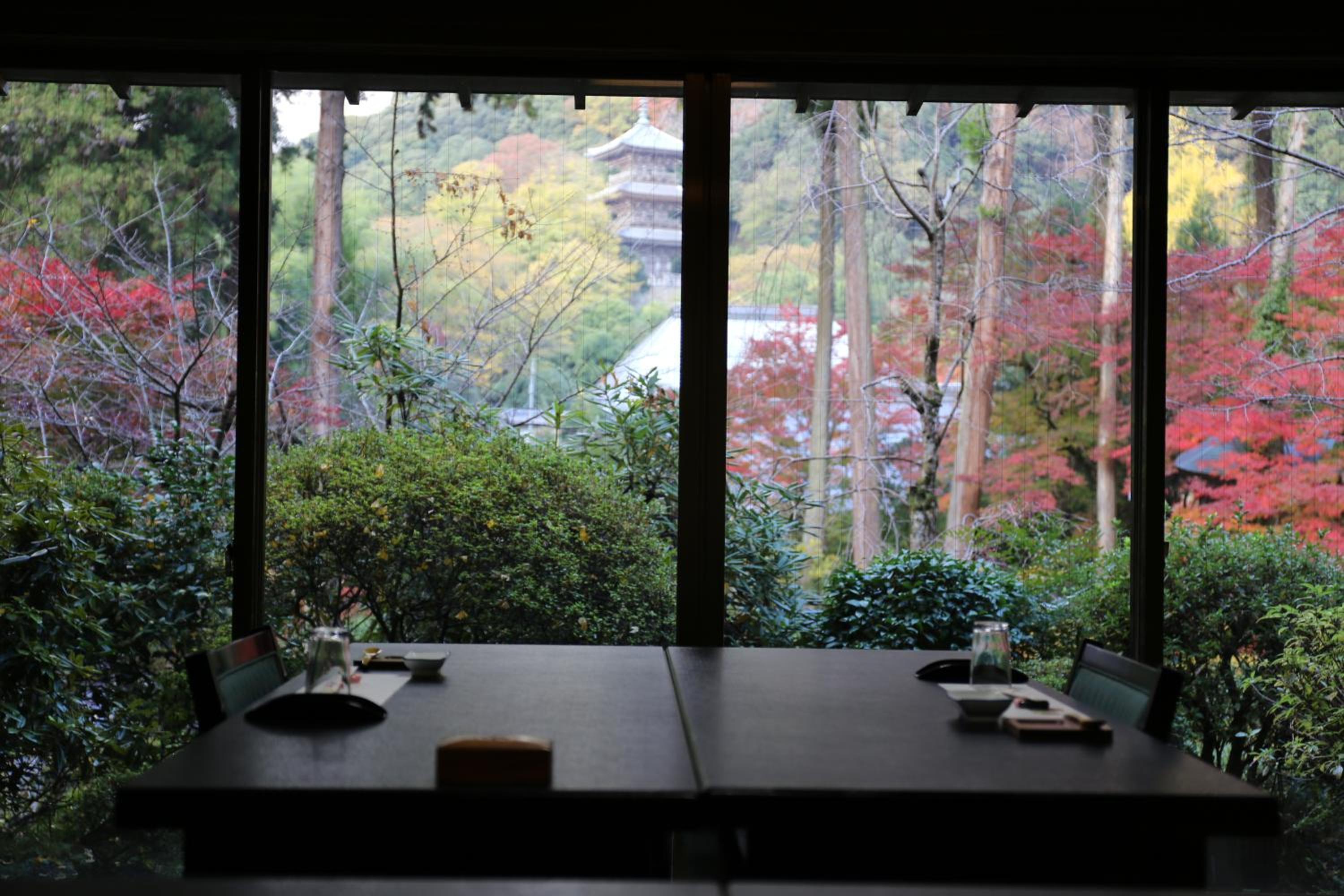 Family Room with Garden View