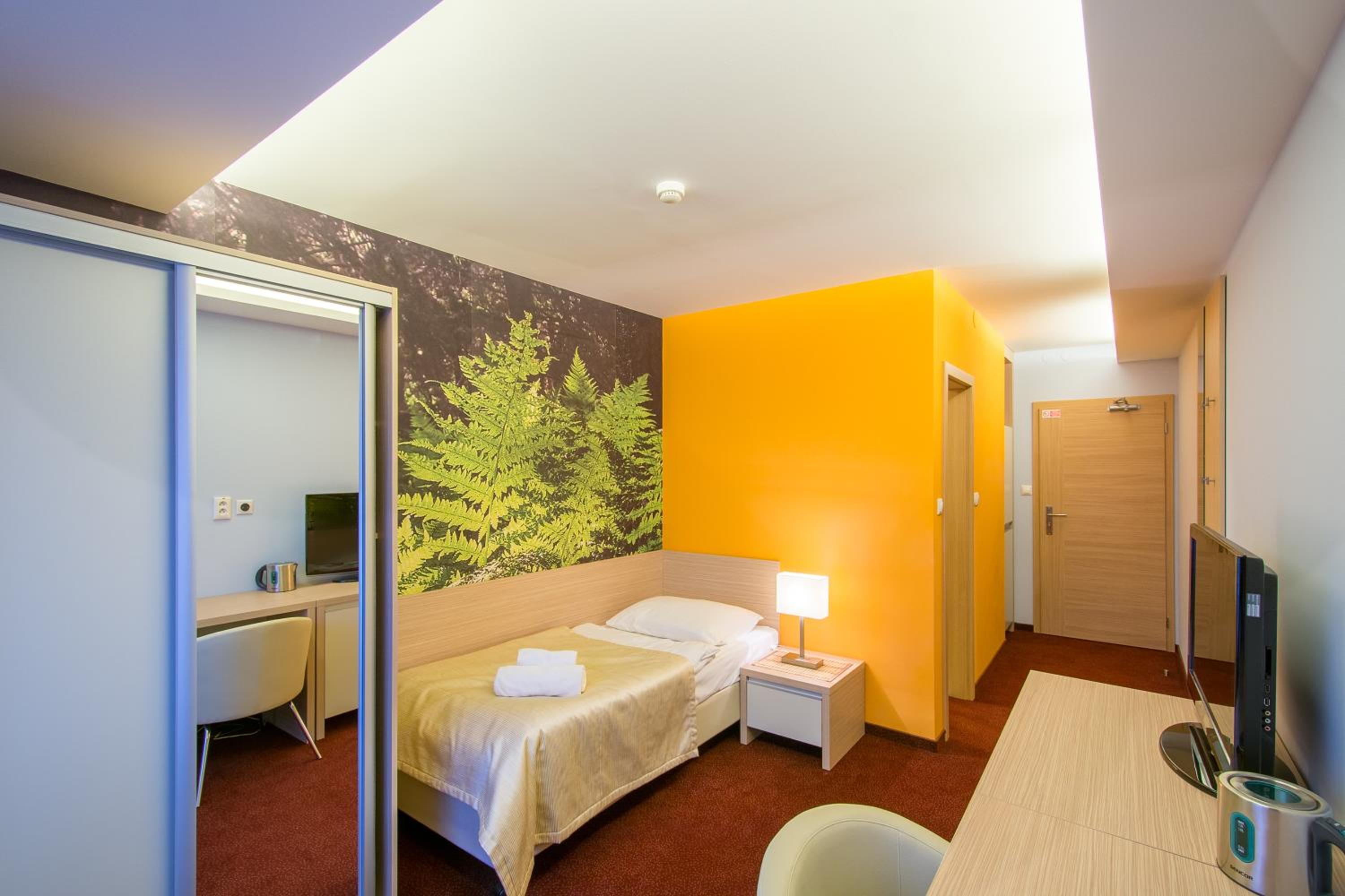 Superior Single Room photo 3