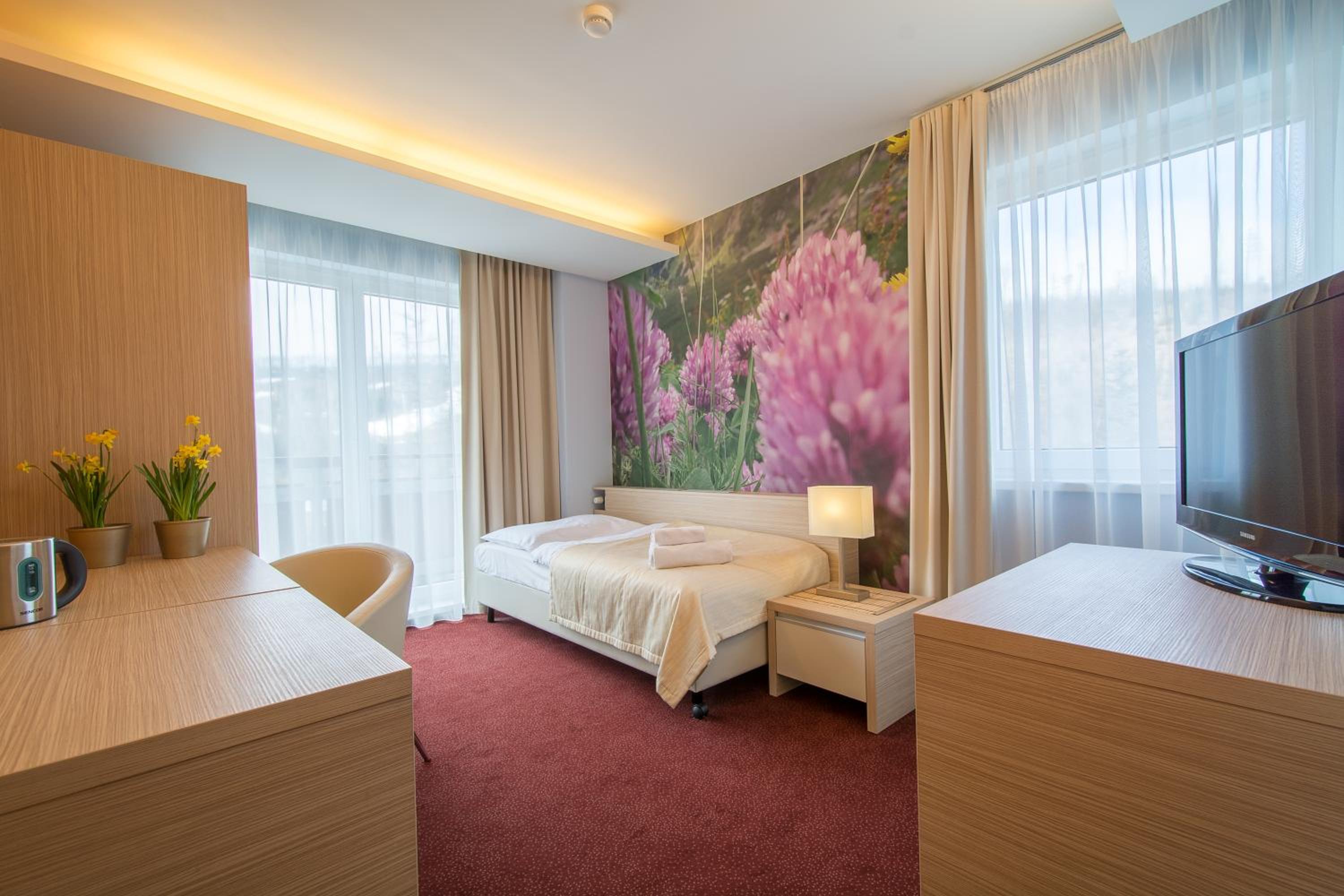 Superior Single Room