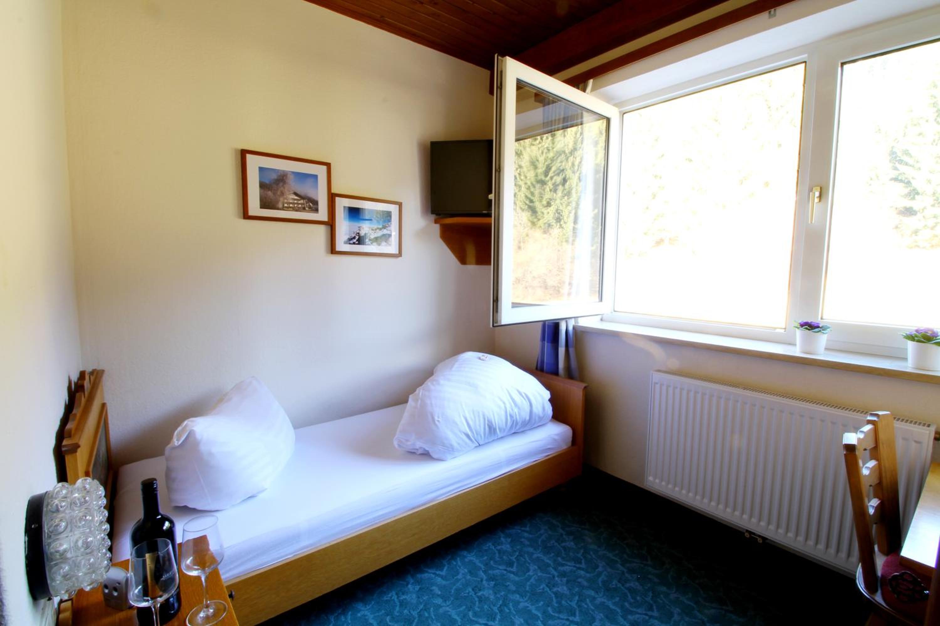 Single Room photo 1