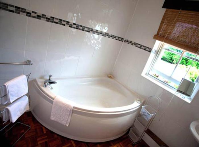 Executive Suite - Photo 3