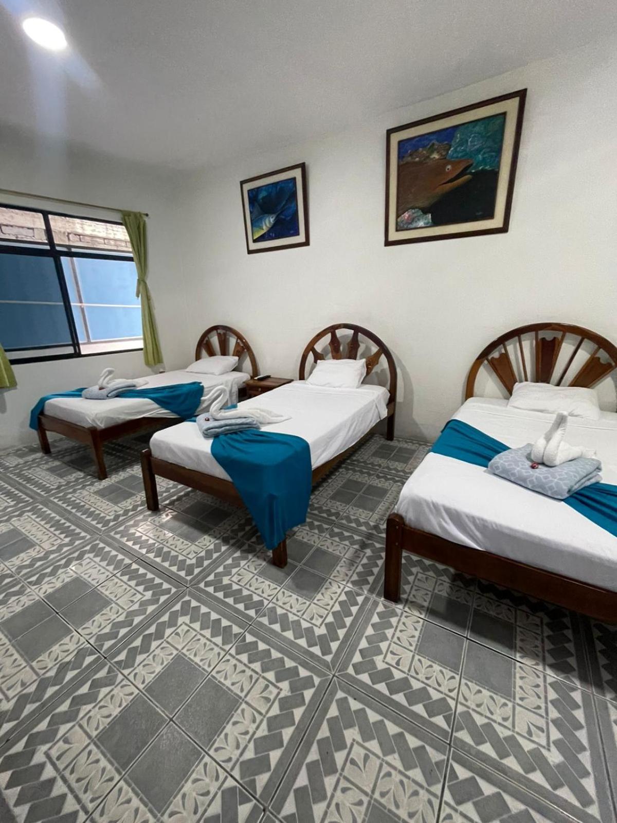 Triple Room photo 3