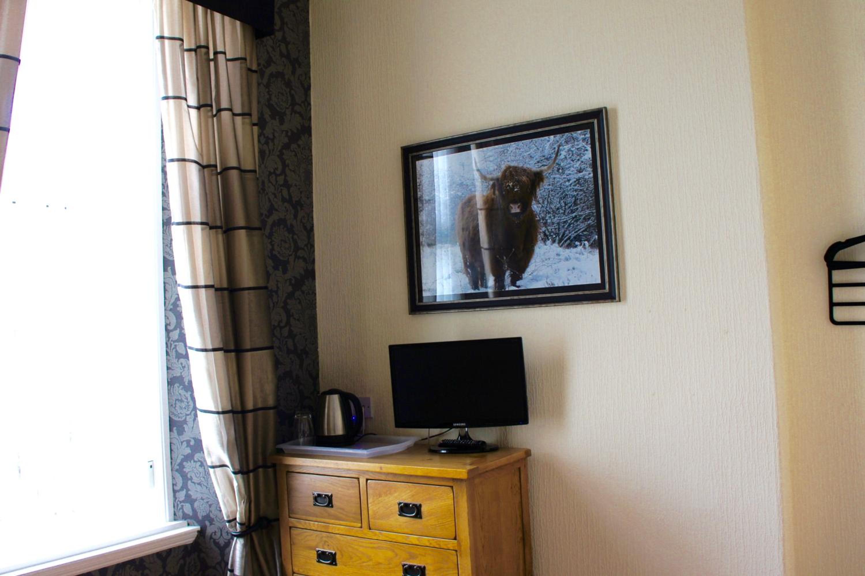 Single Room photo 3