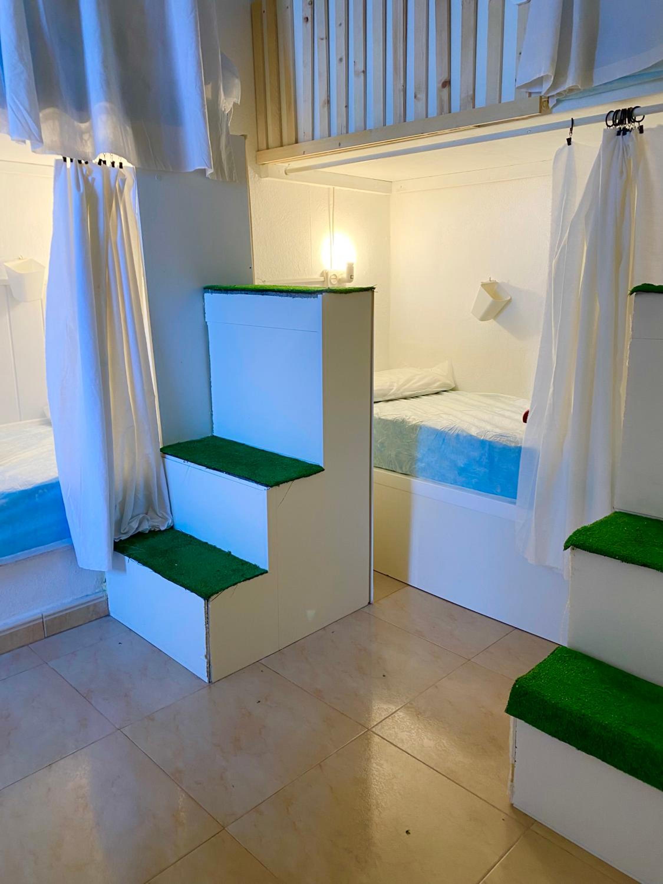 Bunk Bed in Mixed Dormitory Room
