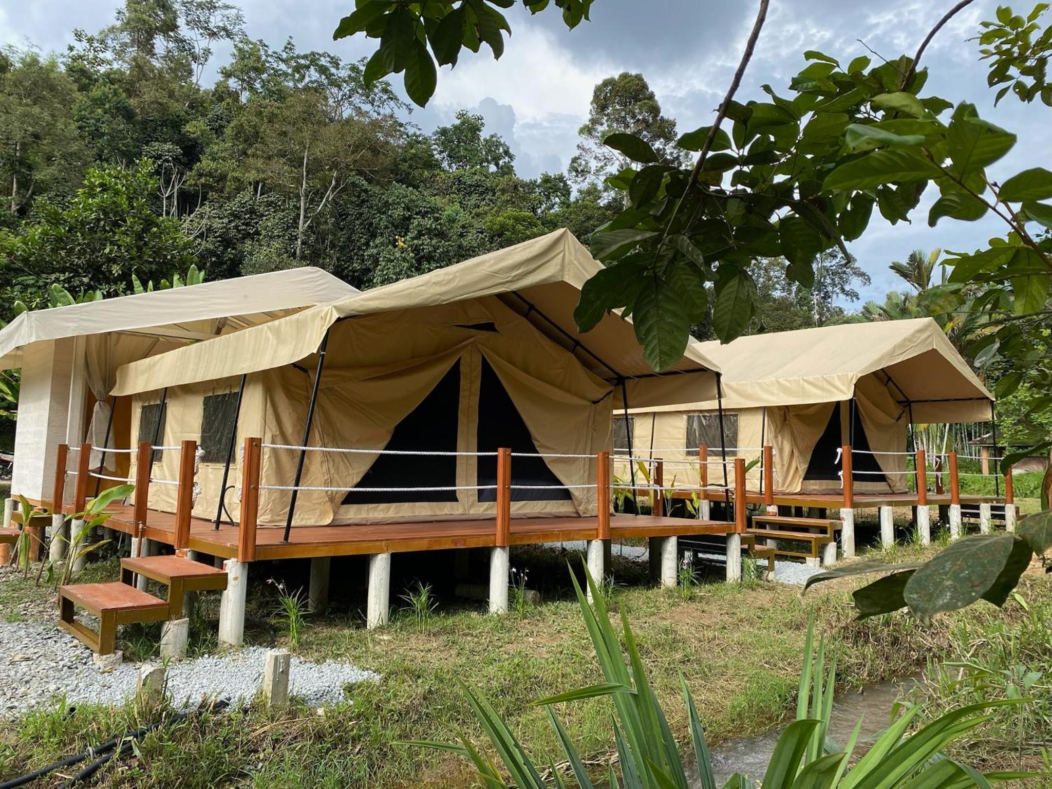 Safari Superior Tent photo 2