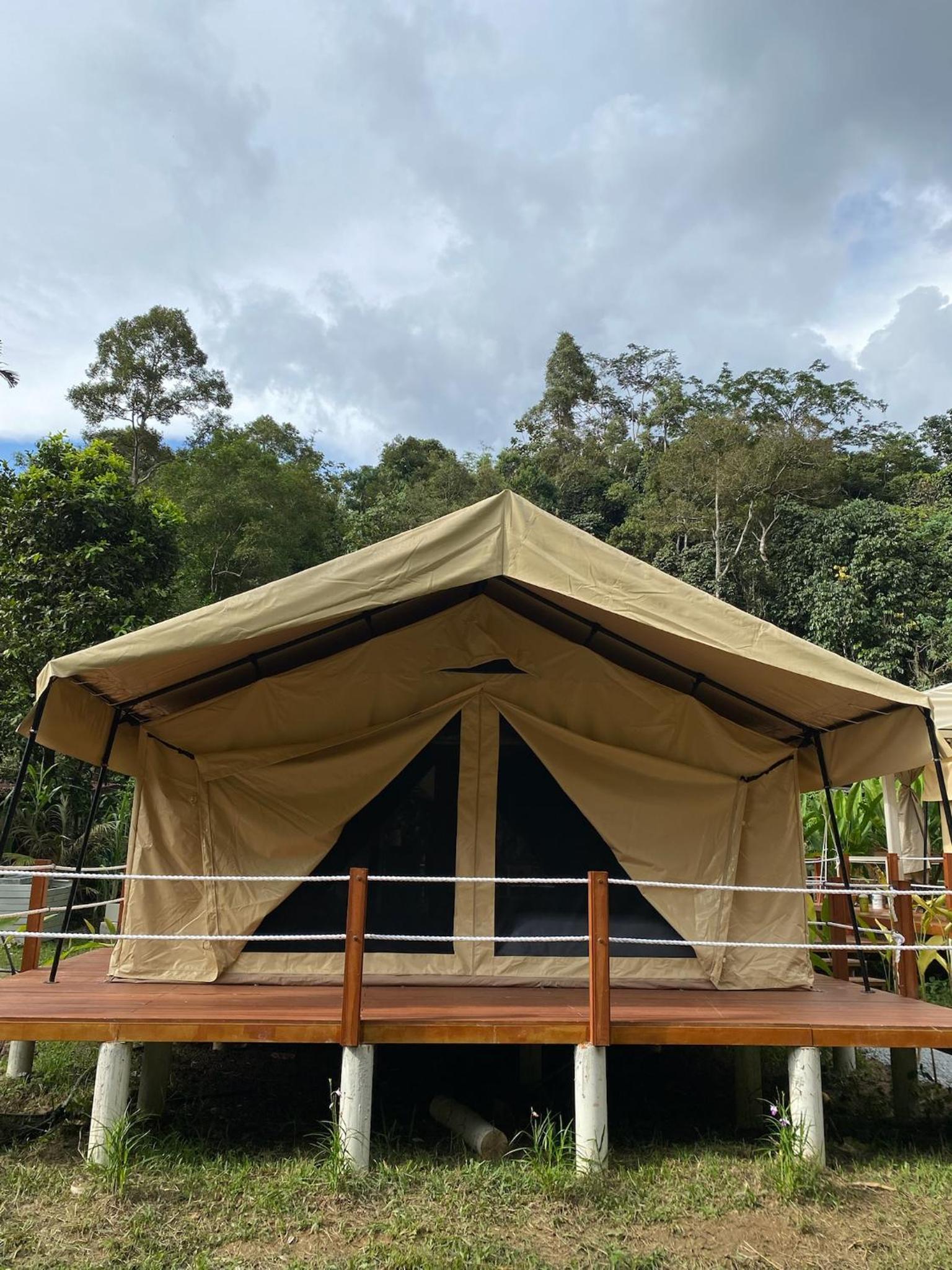 Safari Superior Tent photo 3