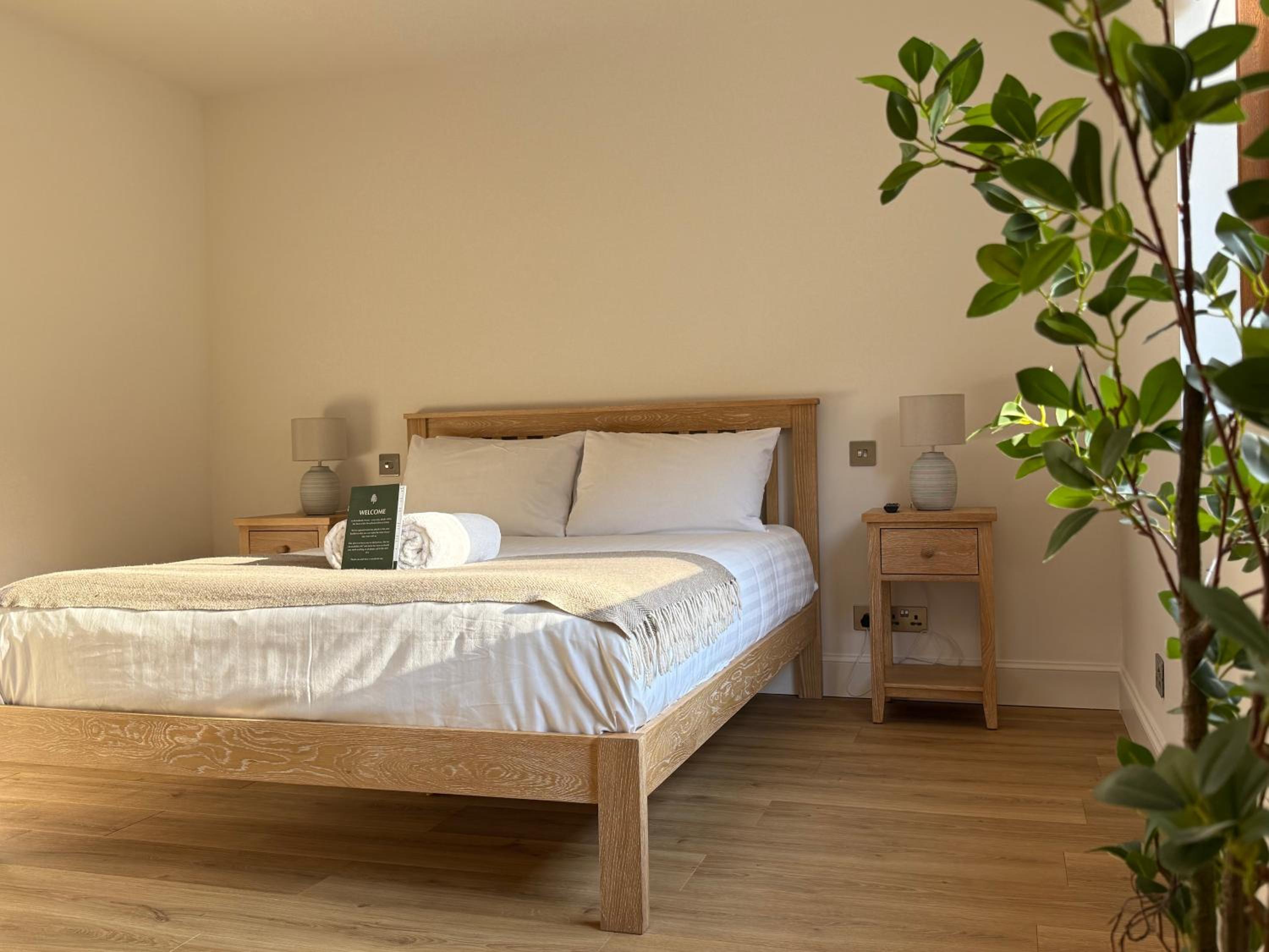 King Room with Mountain View
