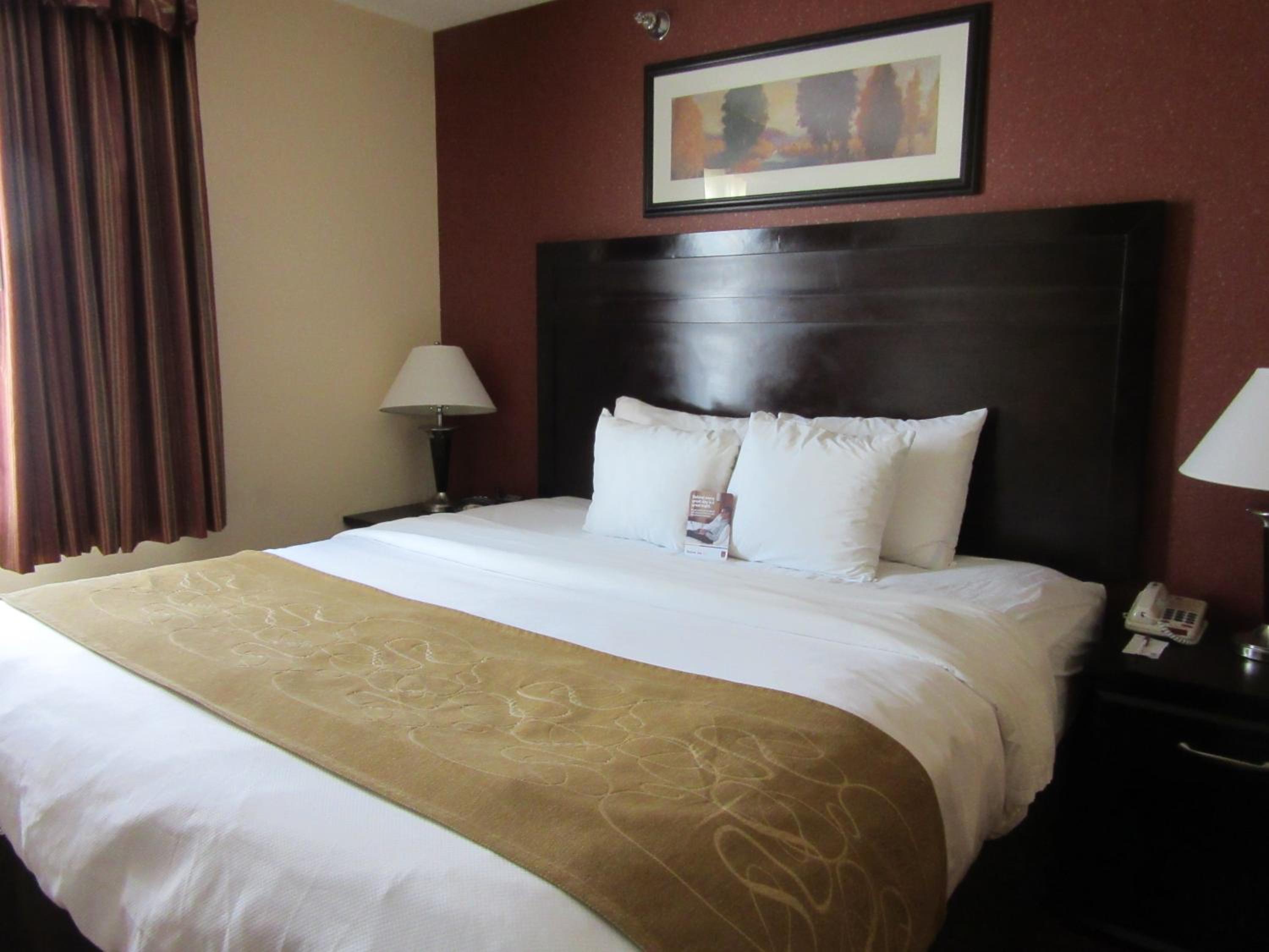 King Suite - Photo 3