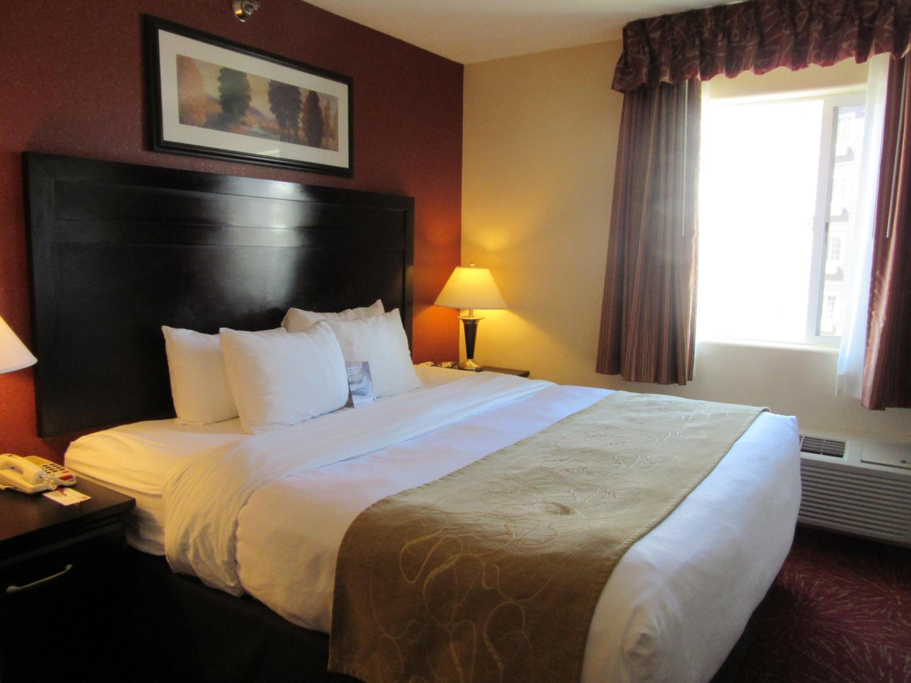 King Suite - Photo 4