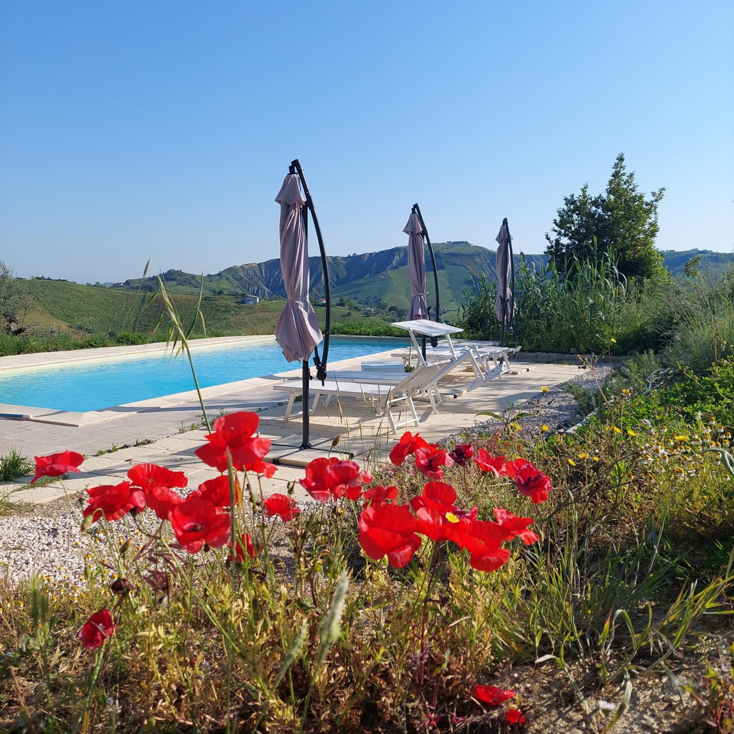 Two-Bedroom Apartment with Pool View