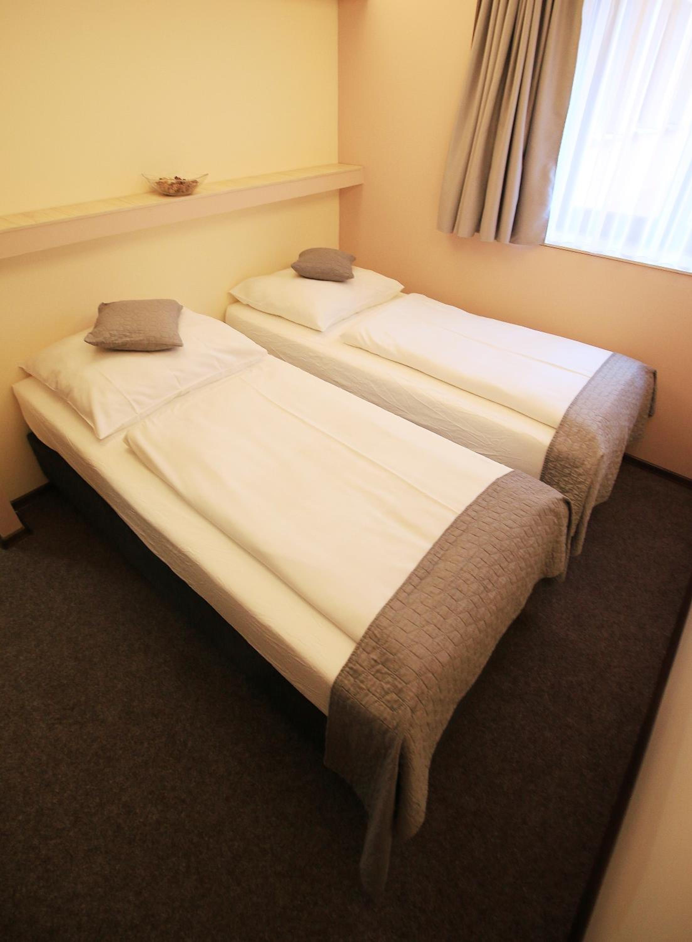 Deluxe Double or Twin Room photo 3