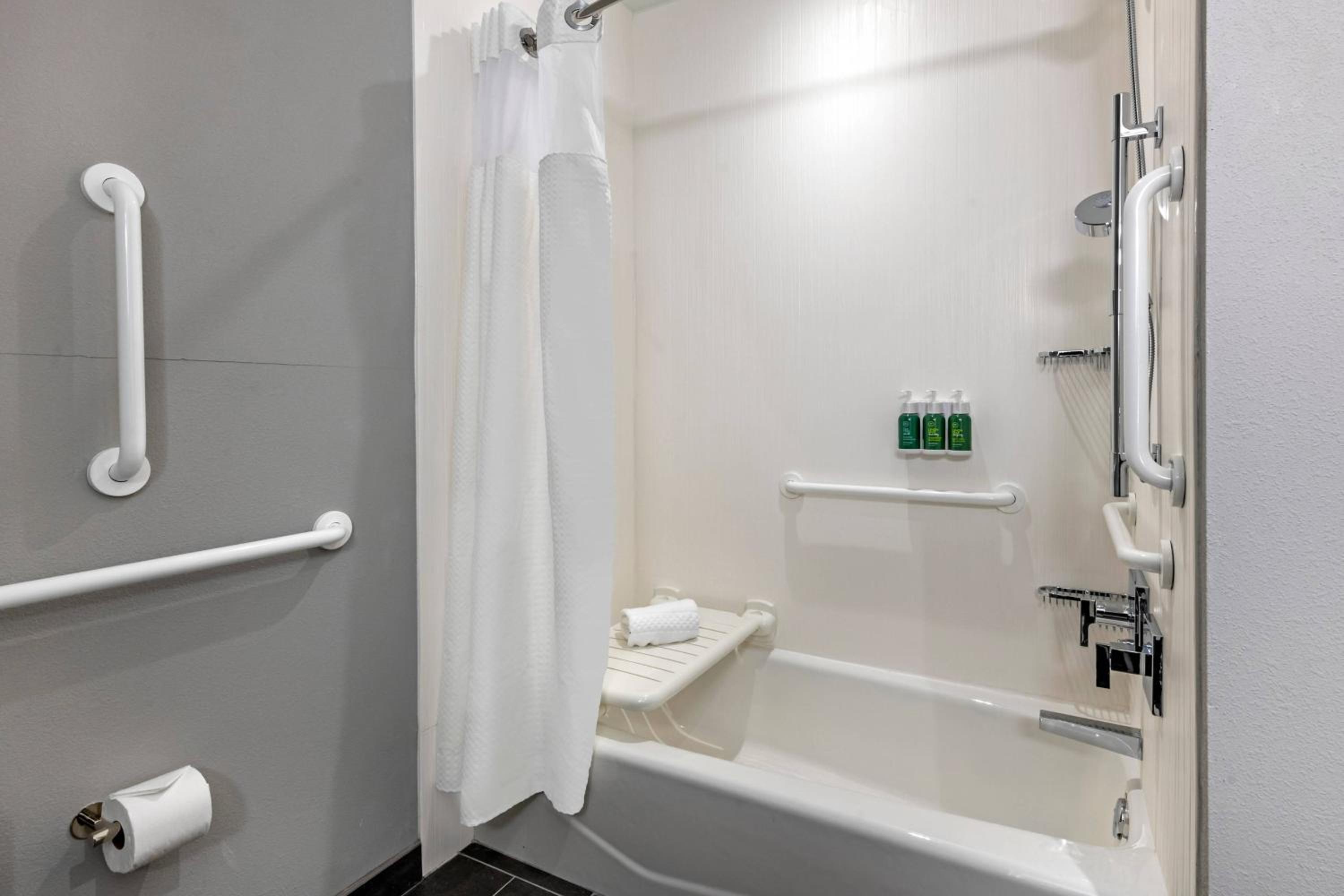 King Room with Sofa Bed - Mobility Accessible with Tub - Photo 3