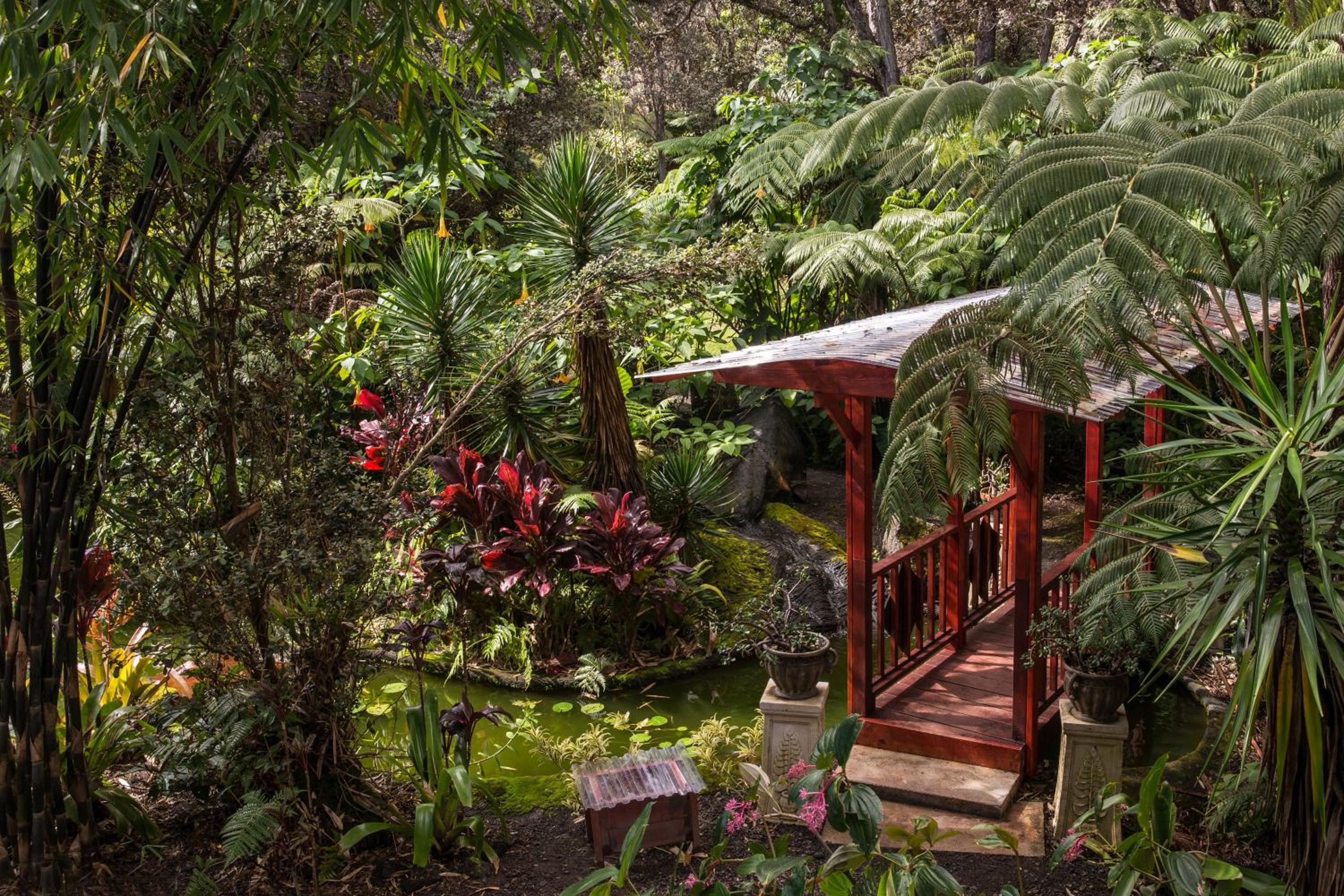 Standard Room, 1 Queen Bed (Chalet Kilauea Hotel) - Photo 33