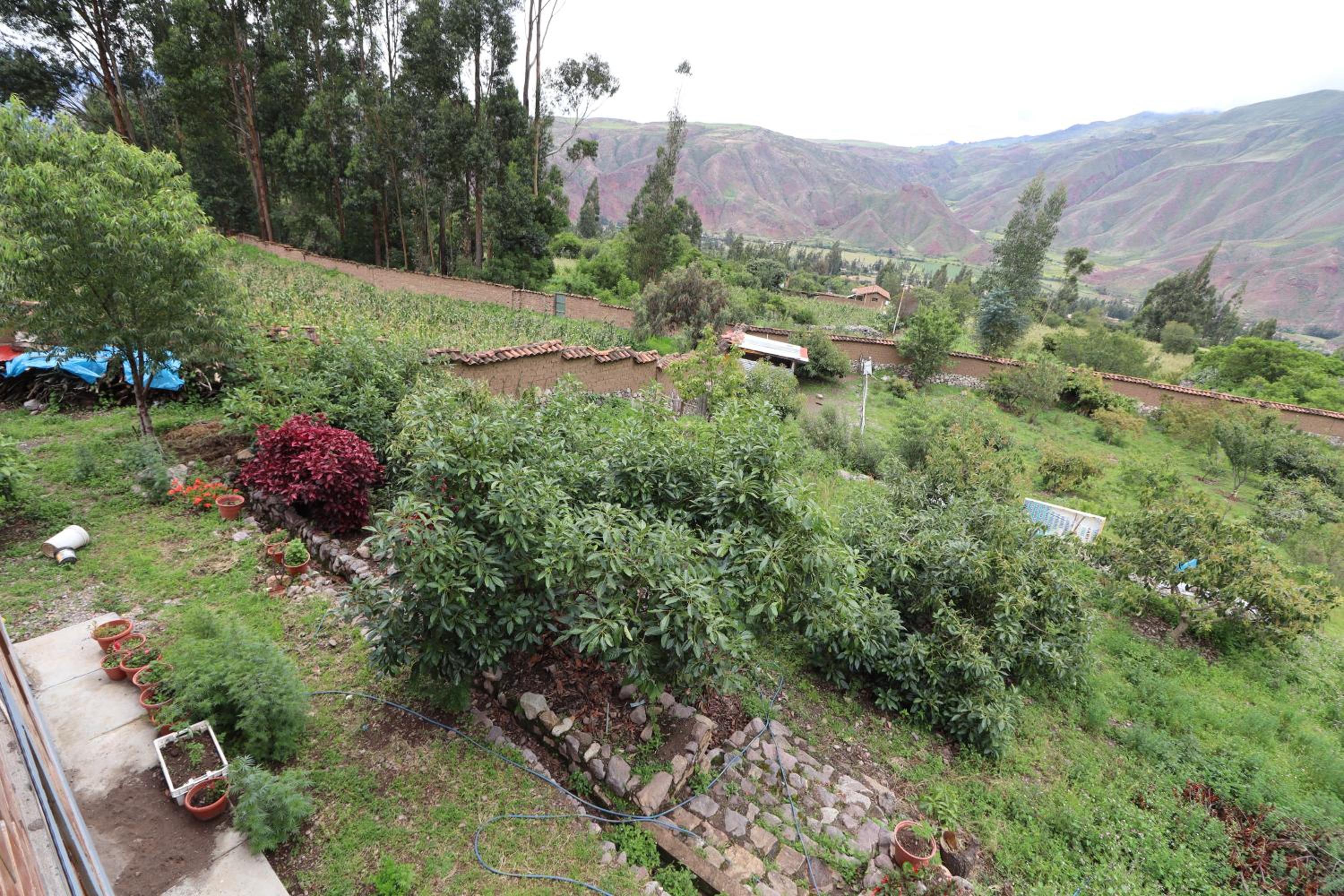 Vacation Home photo 2