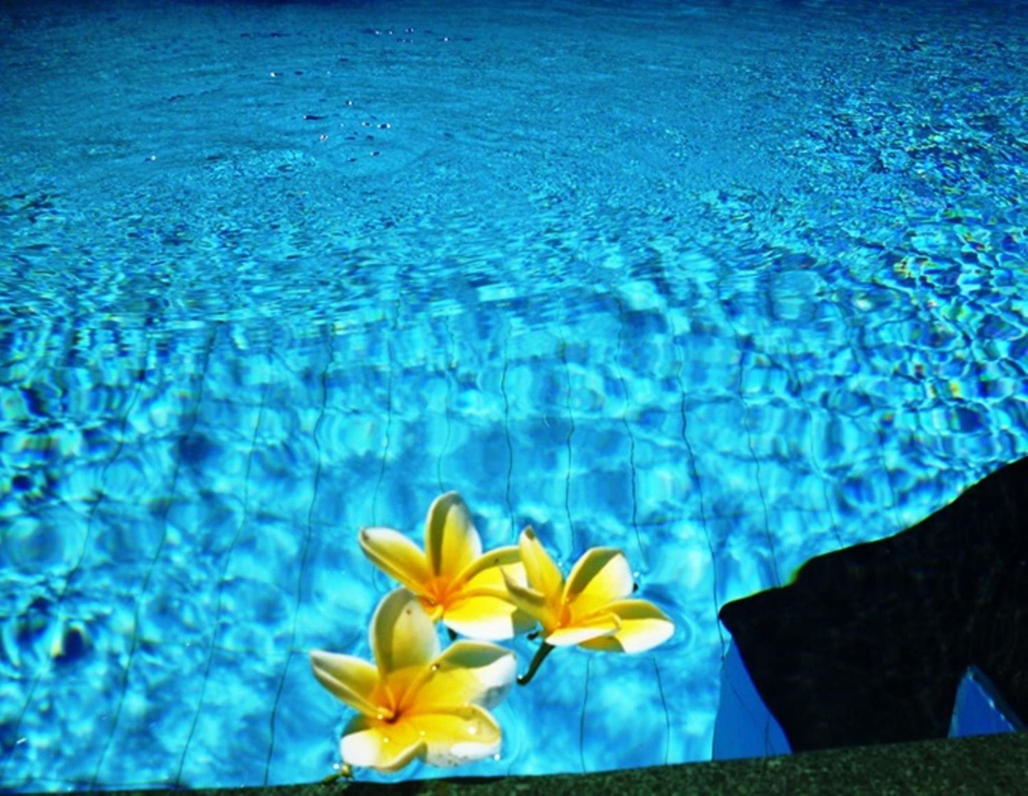 Deluxe Family Room photo 3