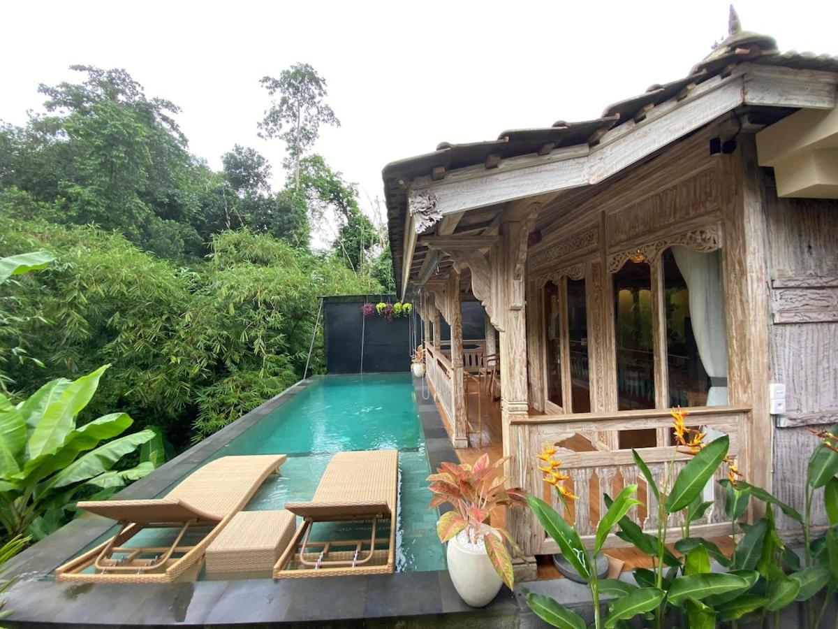 Villa with Private Pool photo 1