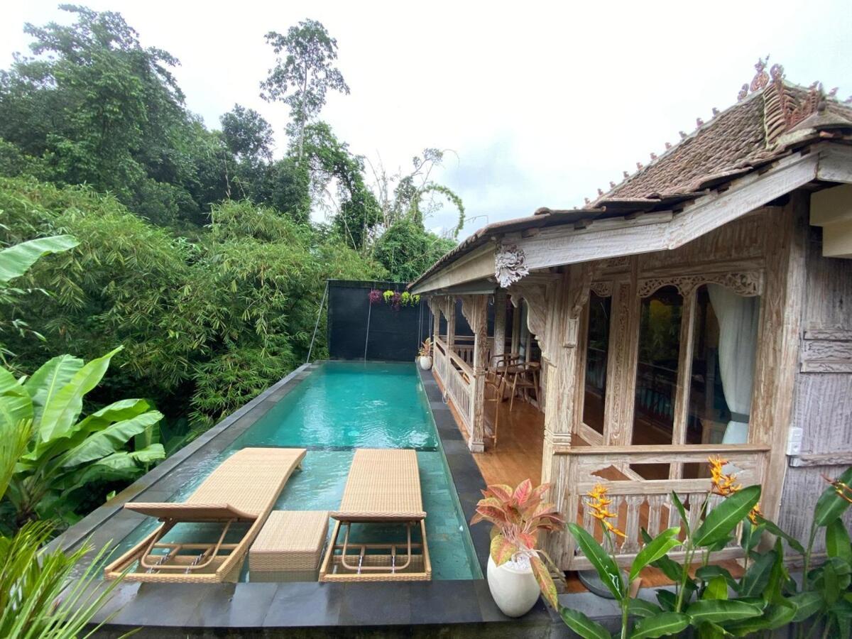 Villa with Private Pool photo 3
