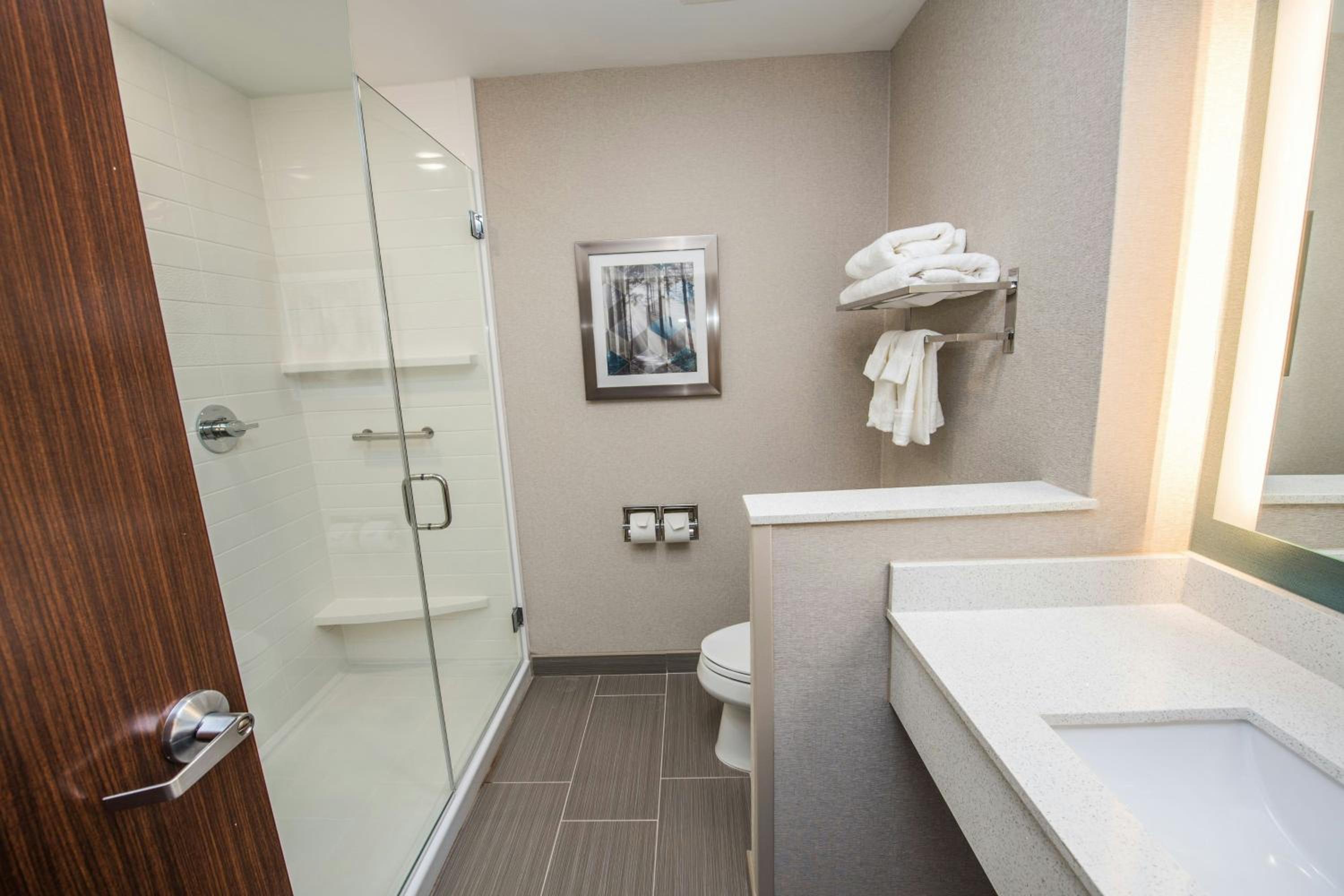 King Room with Roll-In Shower - Mobility Accessible