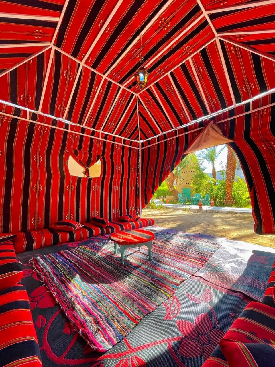 Tent photo 1