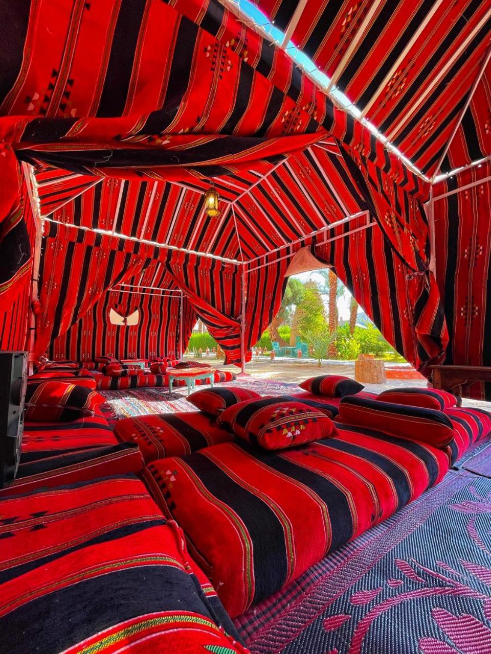 Tent photo 2