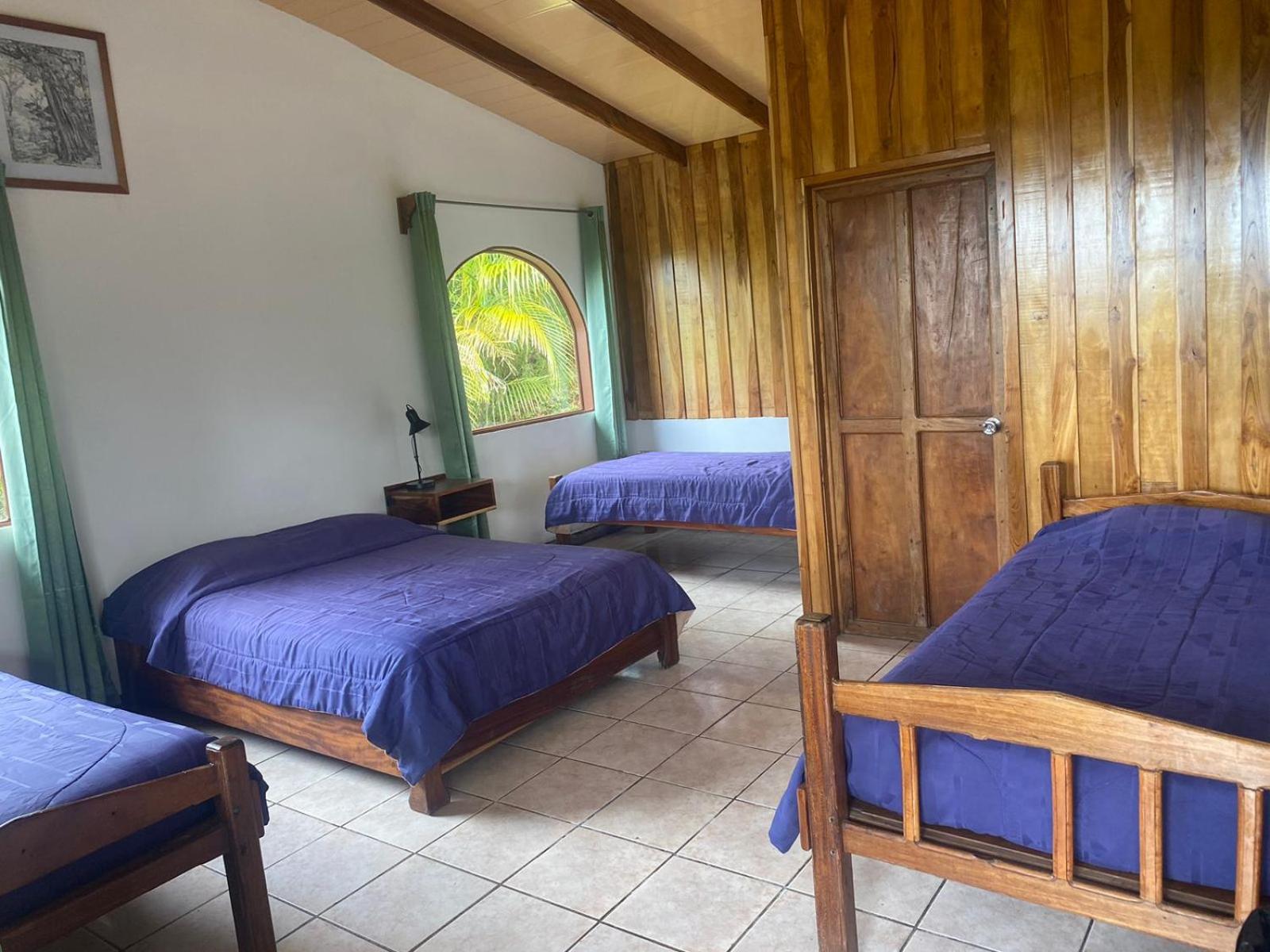 Triple Room photo 3