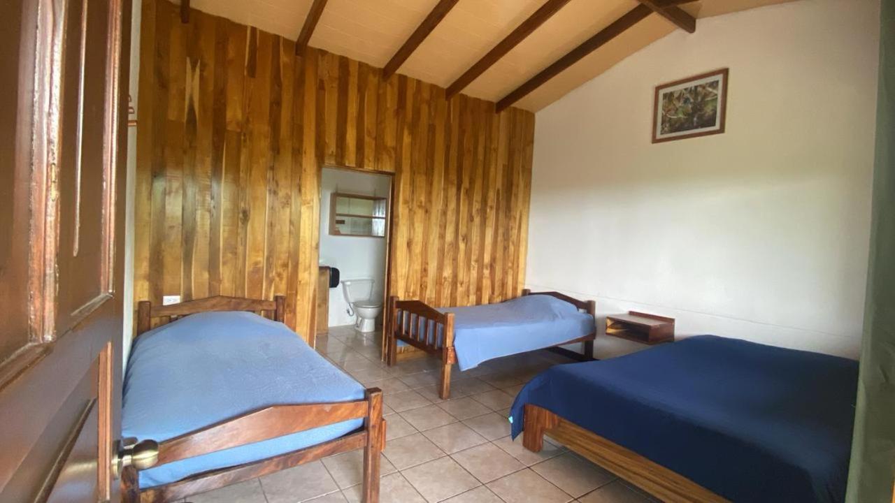 Triple Room photo 1