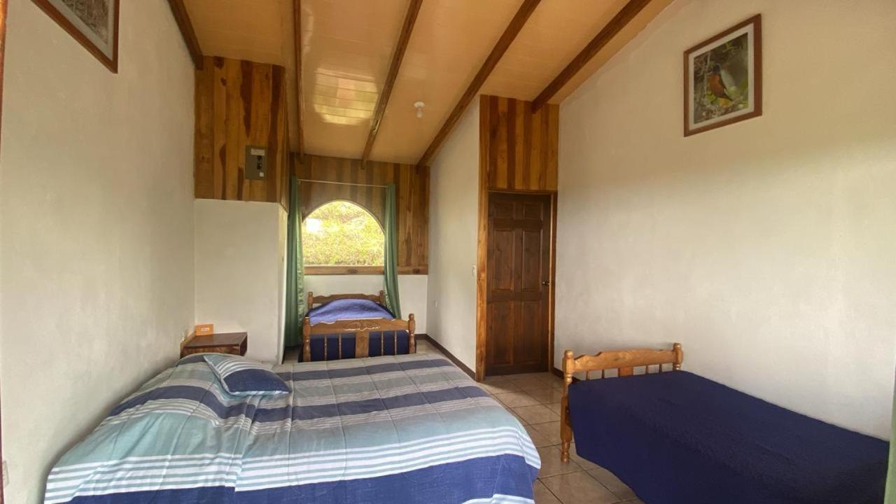Triple Room photo 1
