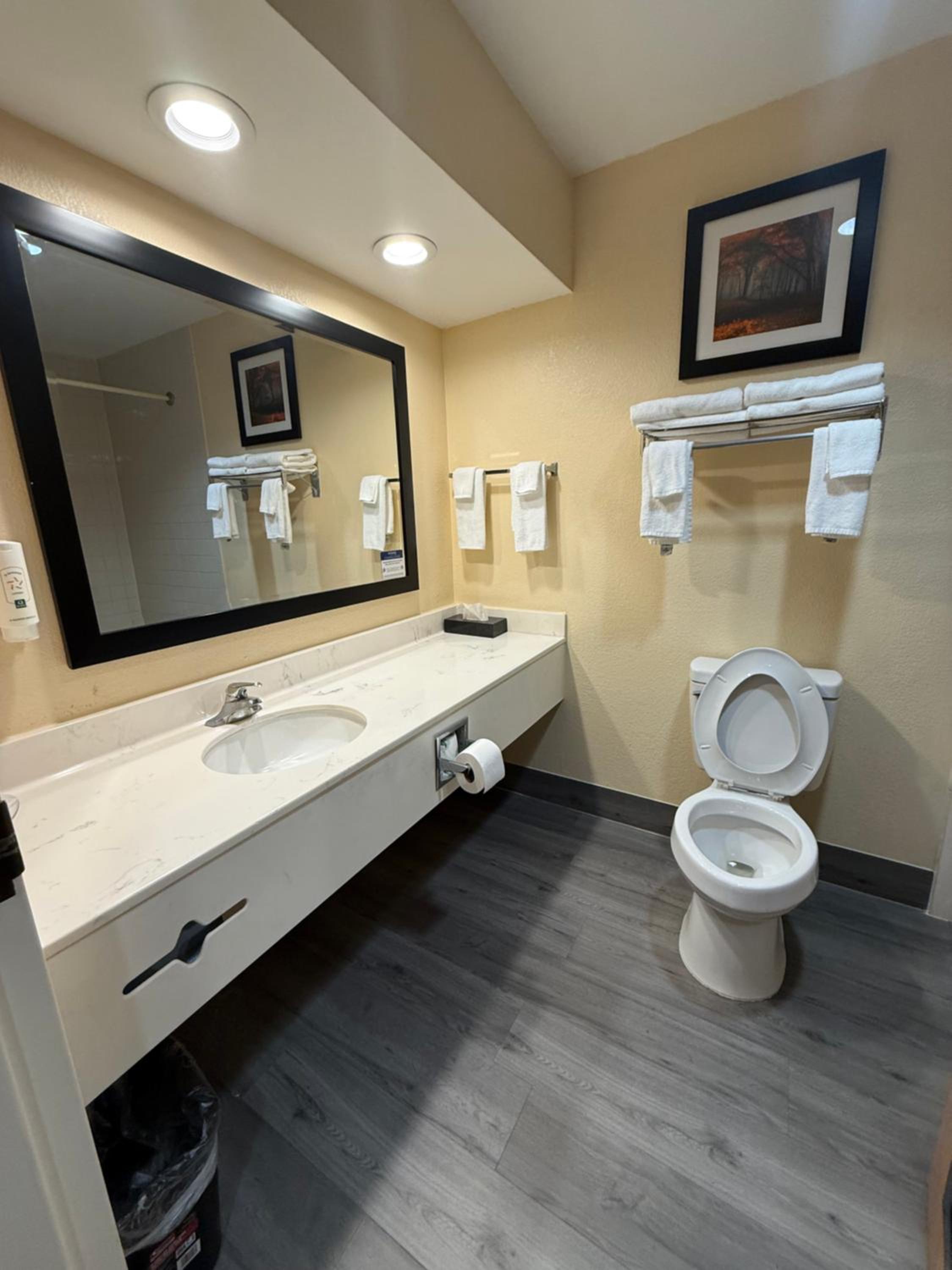 King Suite with Whirlpool - Non-smoking photo 3