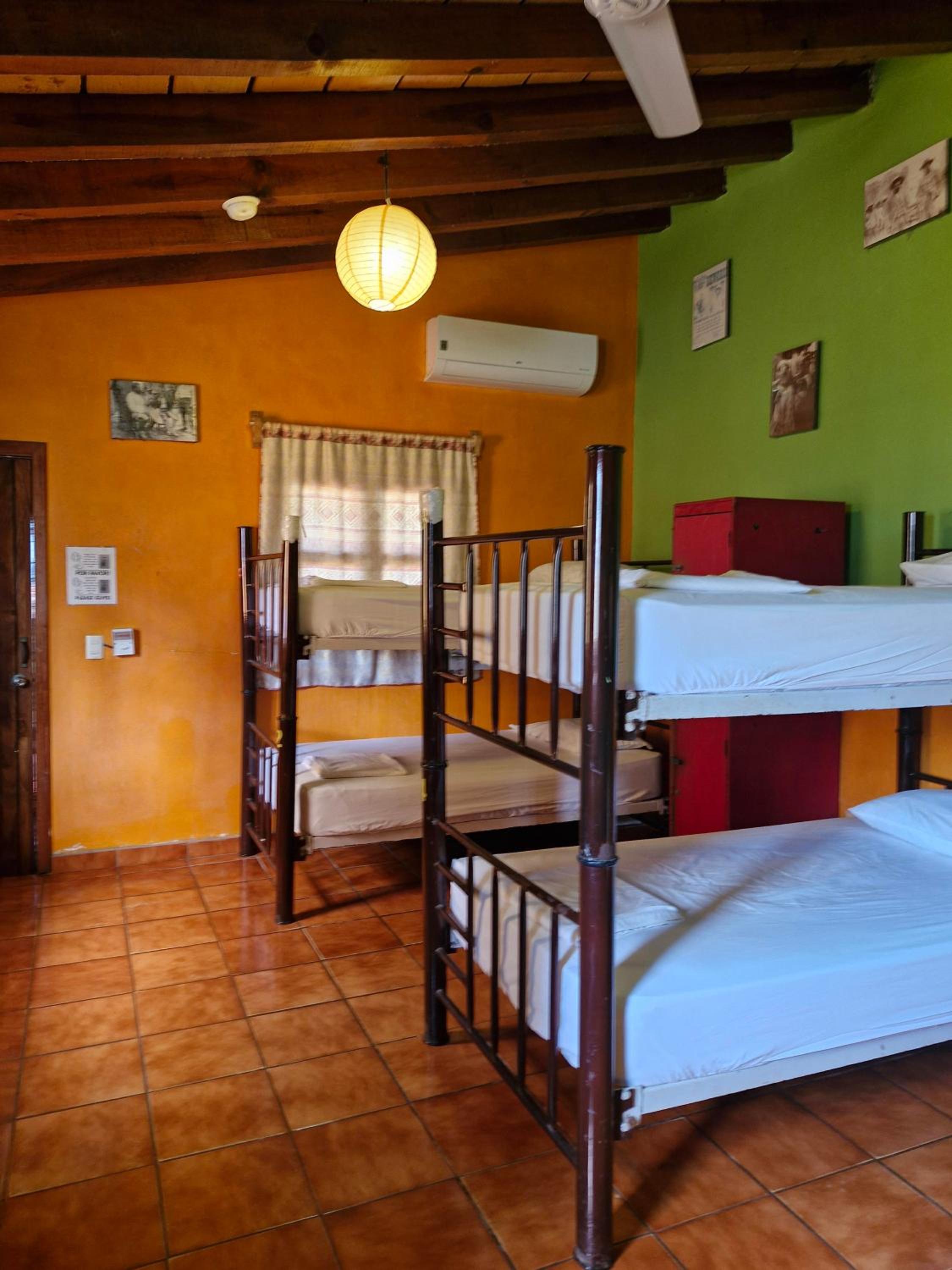 Single Bed in Mixed Dormitory Room photo 1