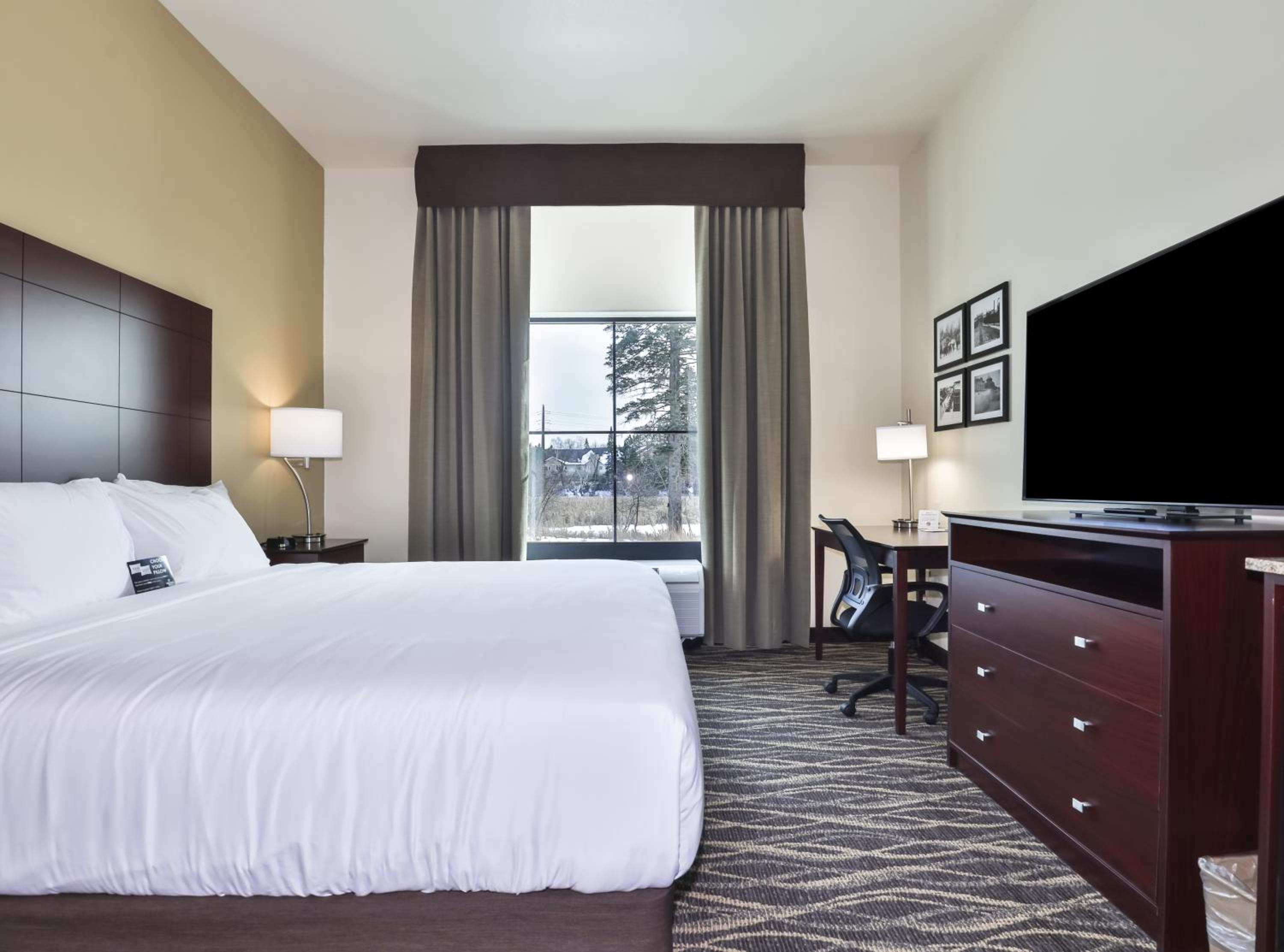 King Room photo 1