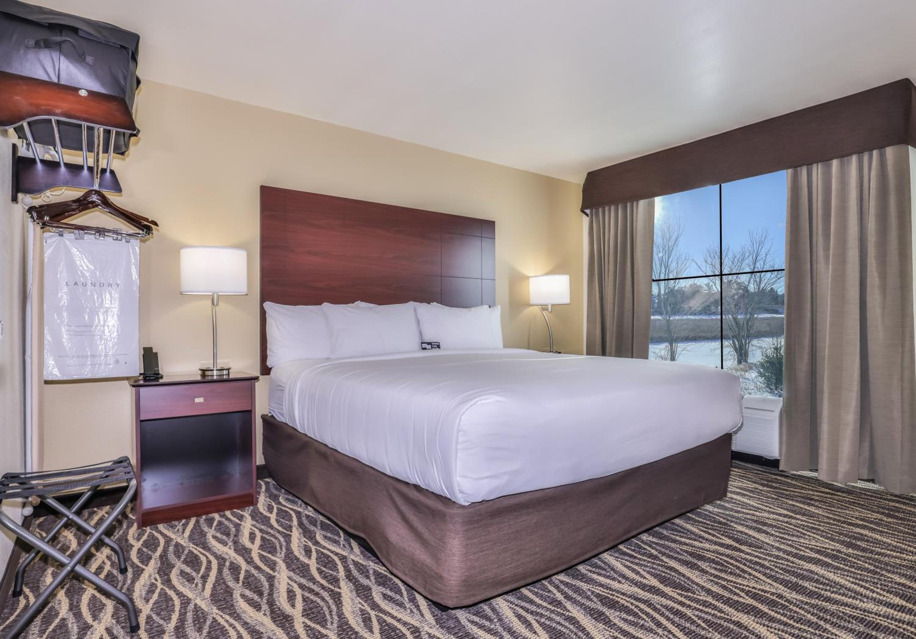 One-Bedroom Suite photo 1