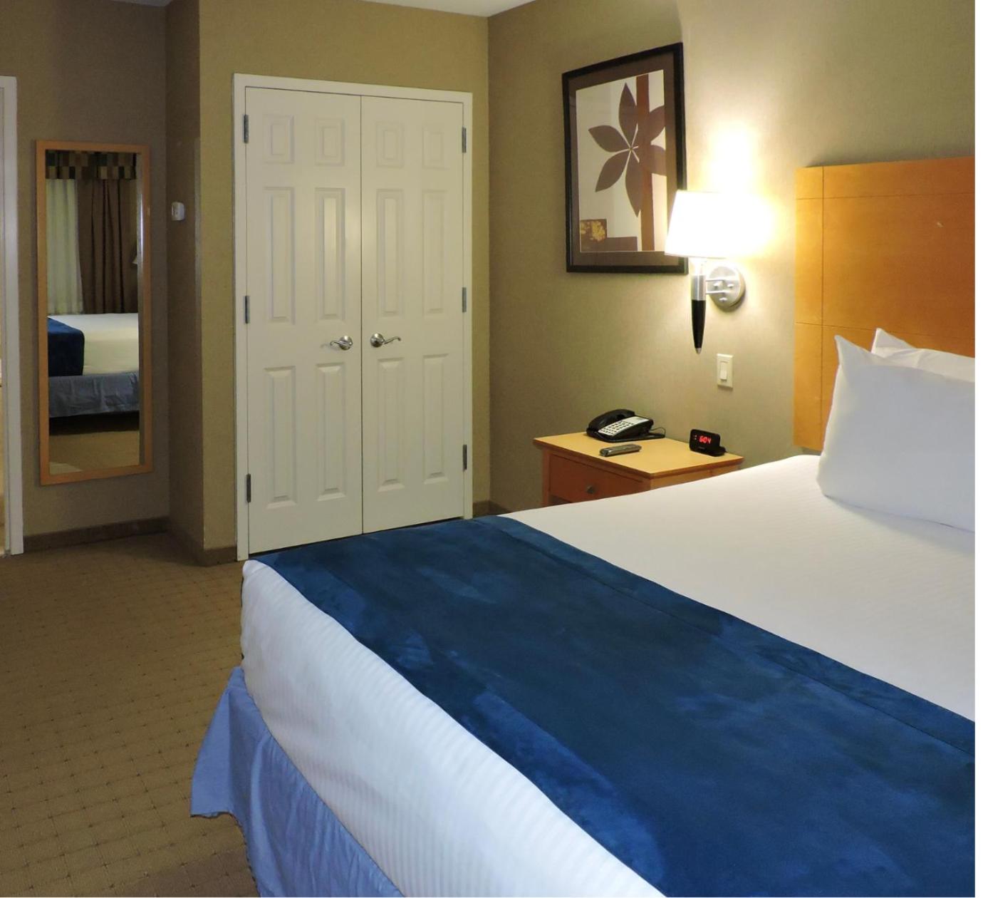 One Bedroom Suite  - Photo 4