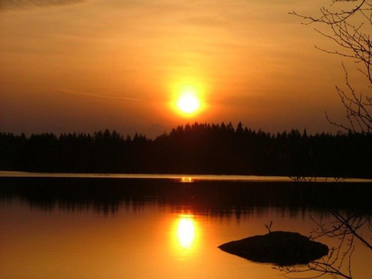 Summer Cottage with Sauna - Loimu - Photo 6