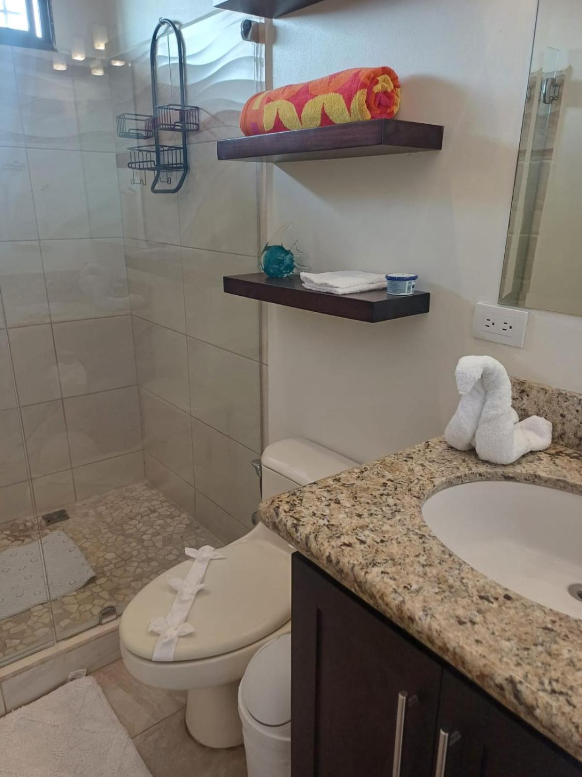 Classic Apartment photo 3