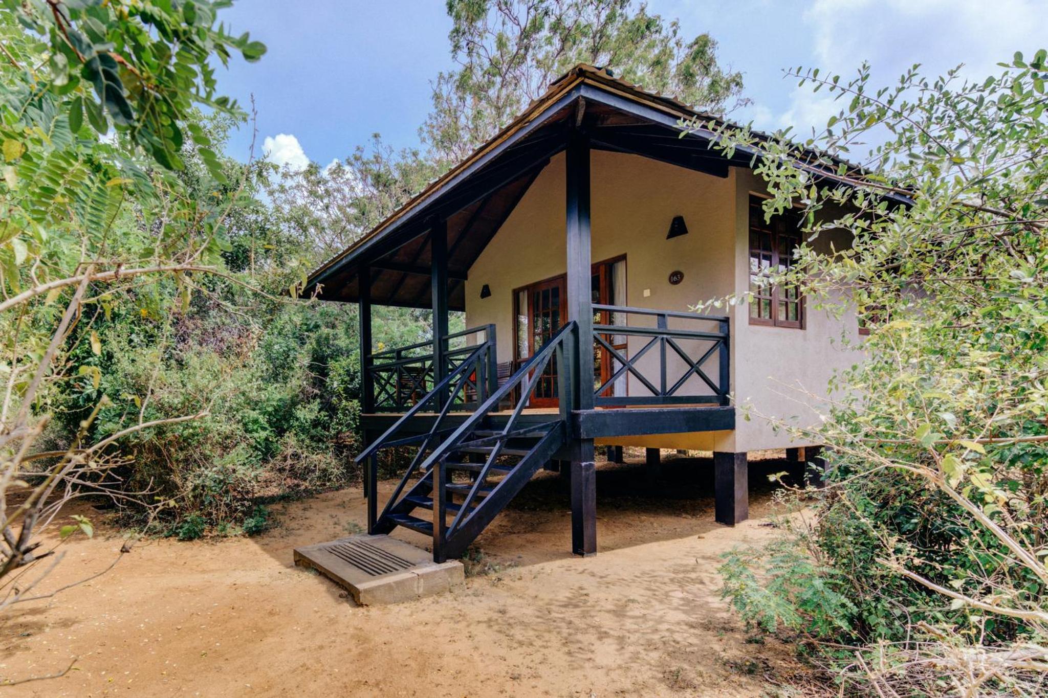 Jungle Chalet Twin - 10% off Safari | Complimentary cocktail each if reserved during Stargazing experience - Photo 5